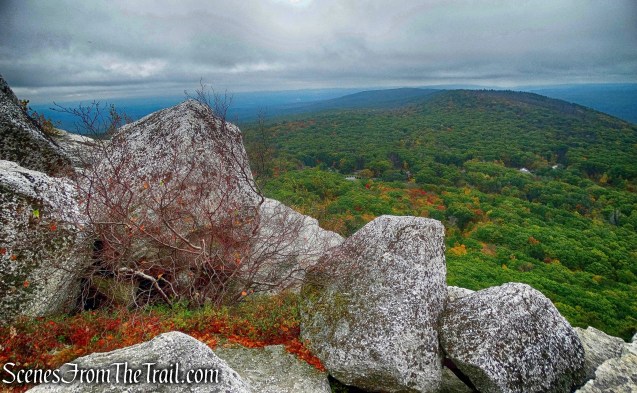 Bear Hill Nature Preserve