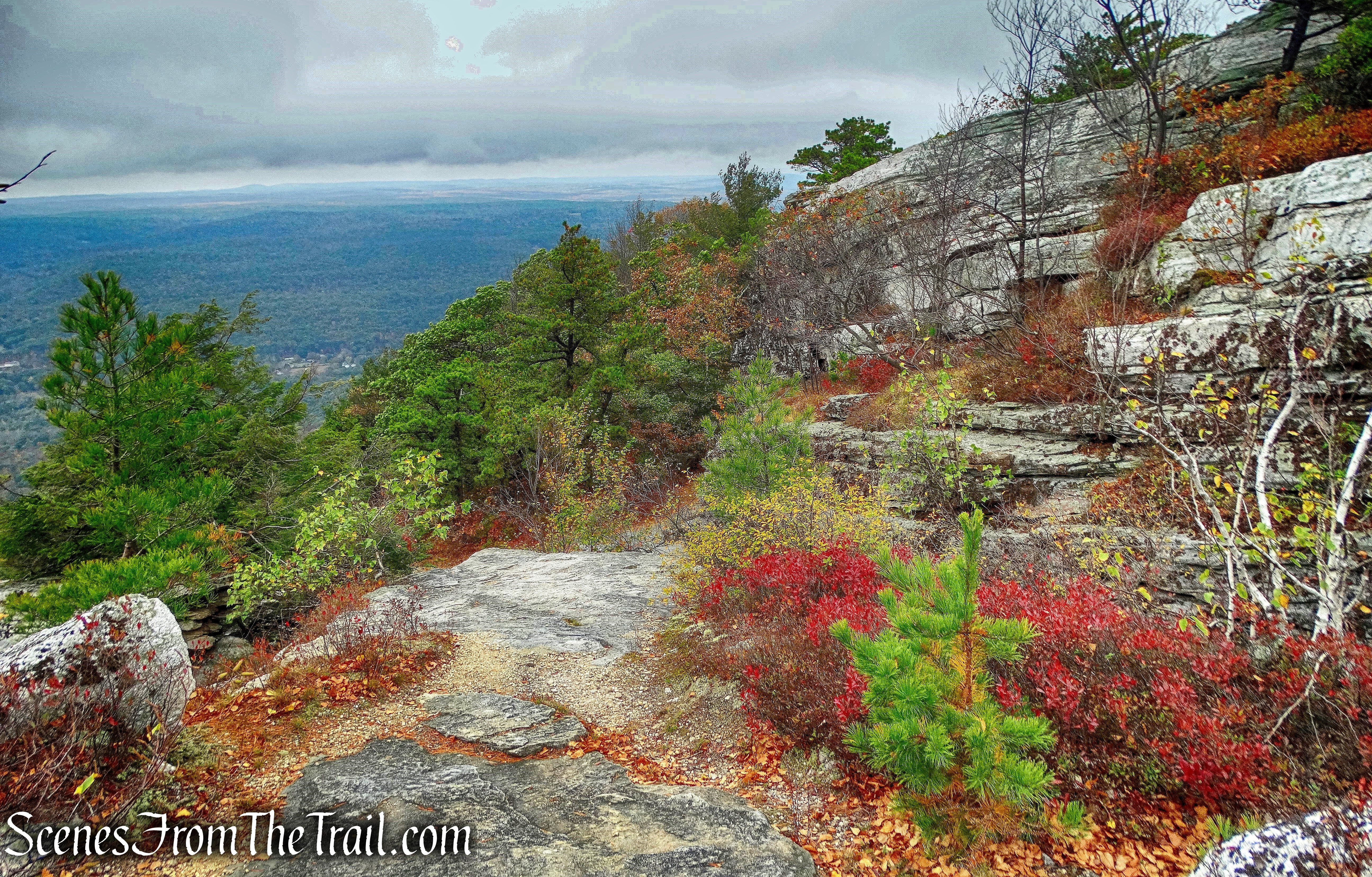 Bear Hill Nature Preserve