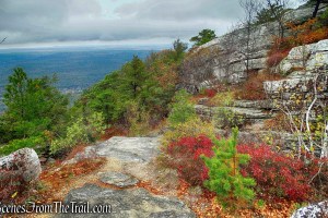 Bear Hill Nature Preserve