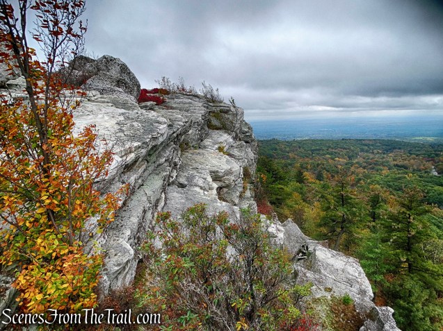 Bear Hill Nature Preserve