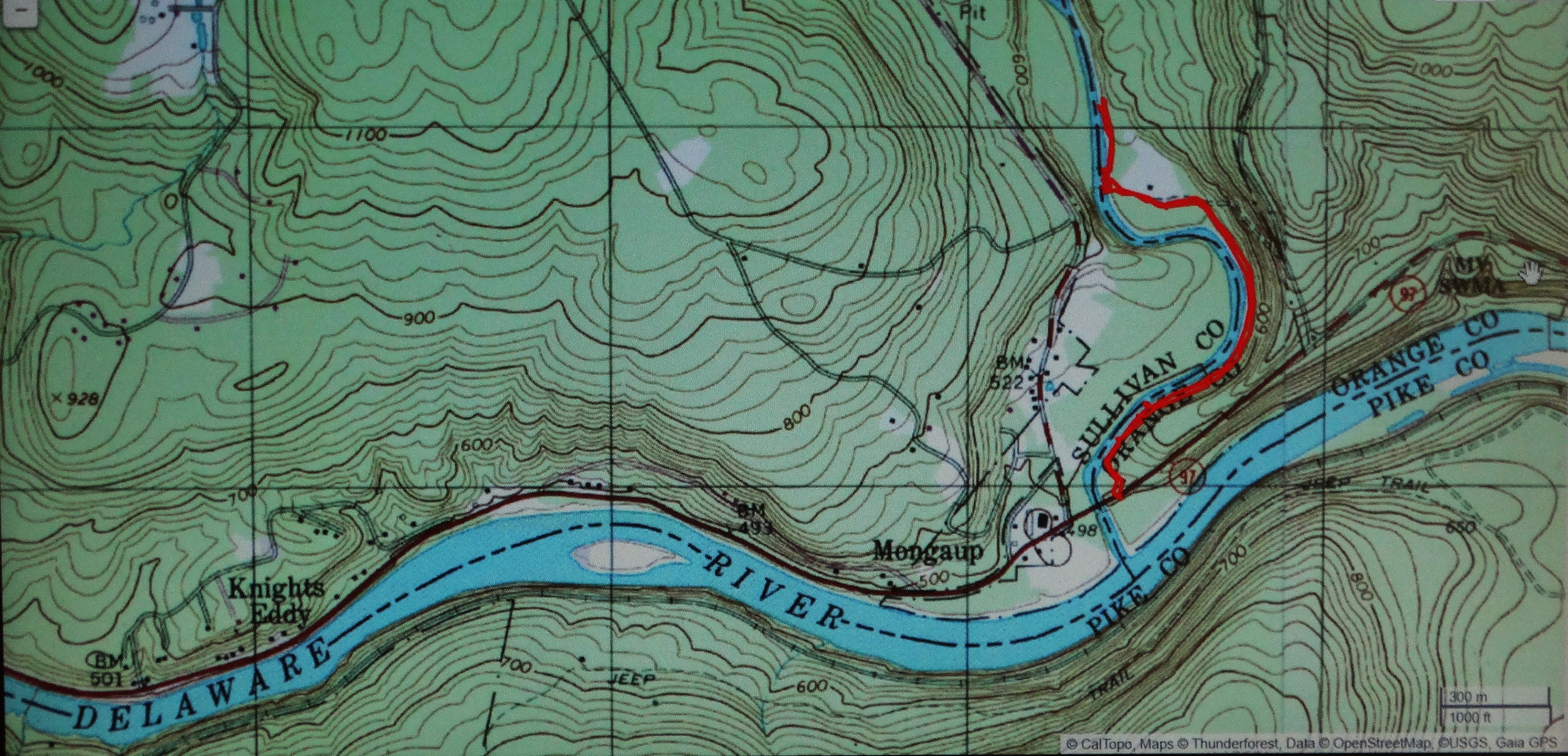 Mongaup River Trail