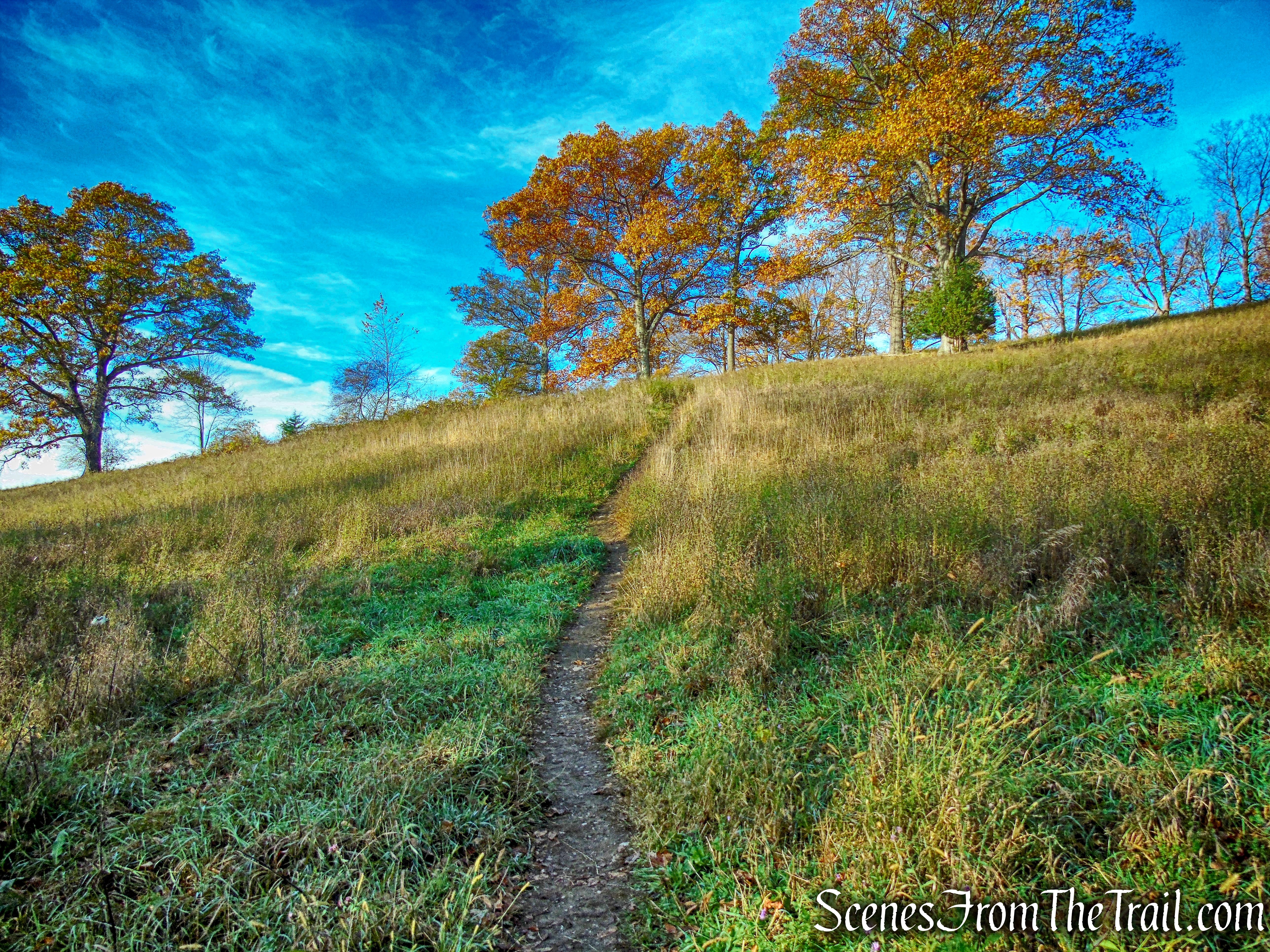 Sweet Clover Trail