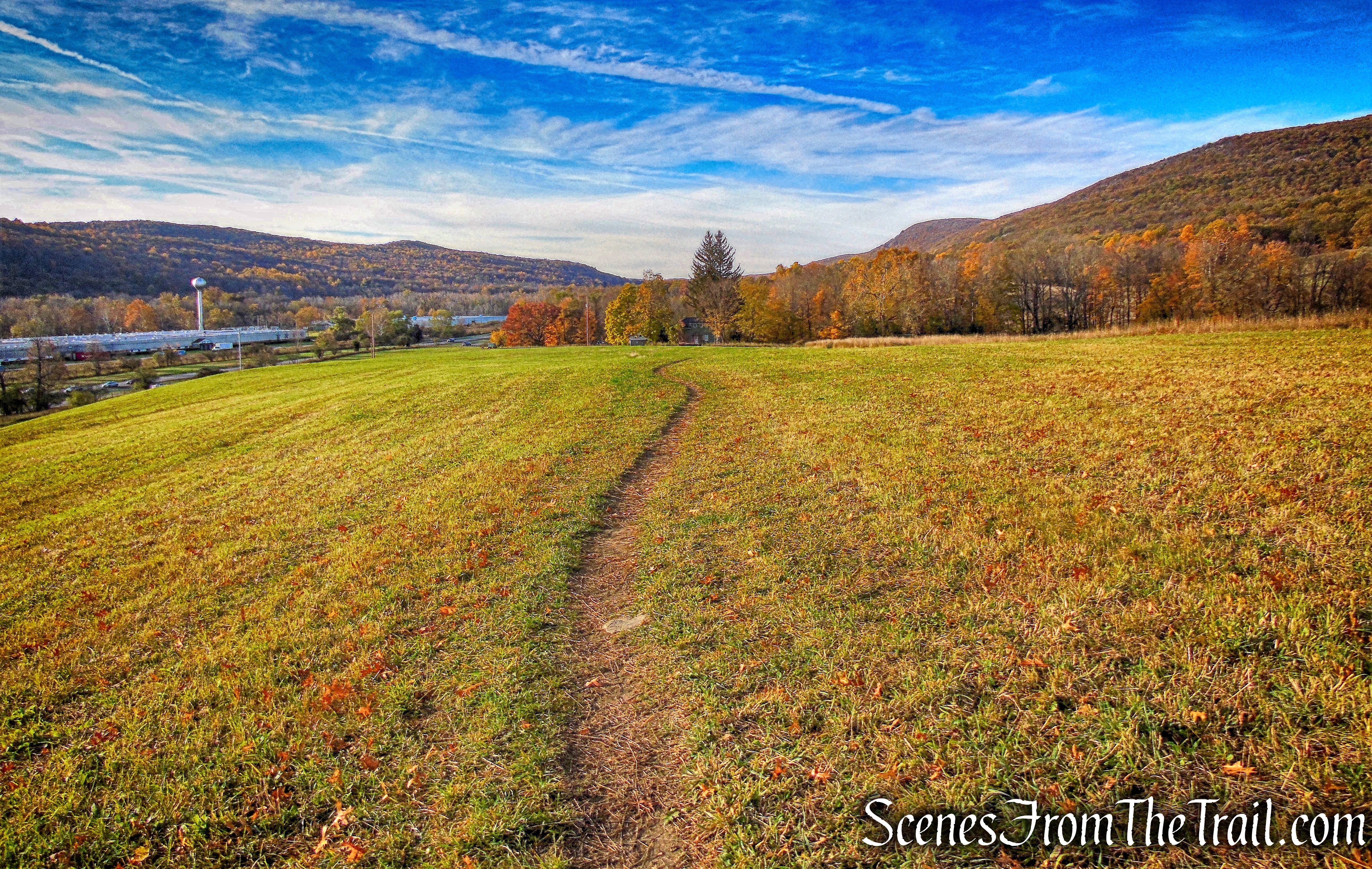 Sweet Clover Trail