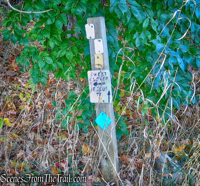 Sweet Clover Trail
