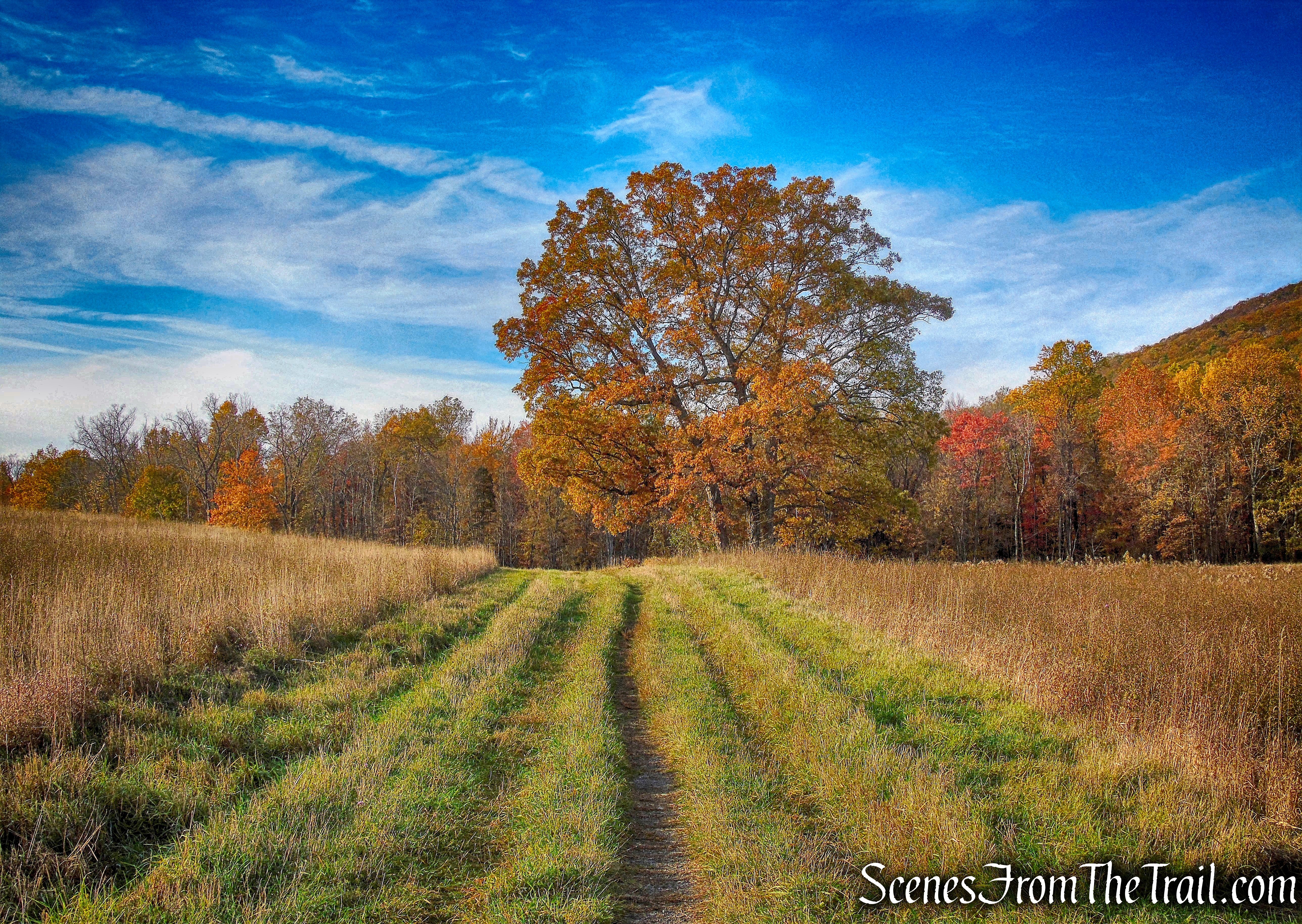 Sweet Clover Trail