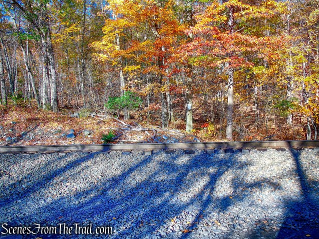 Cross the tracks on the Sweet Clover Trail
