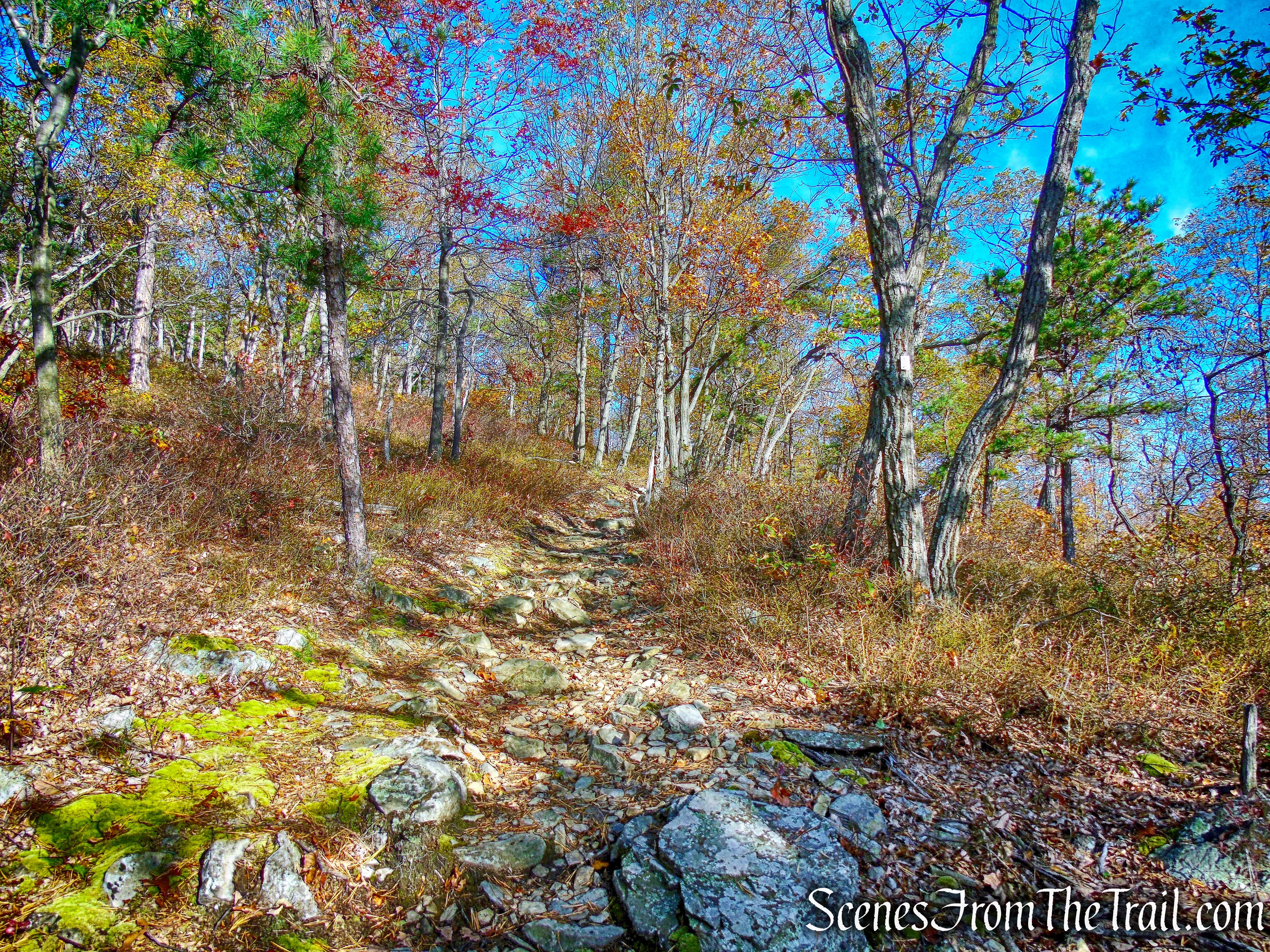 Sweet Clover Trail