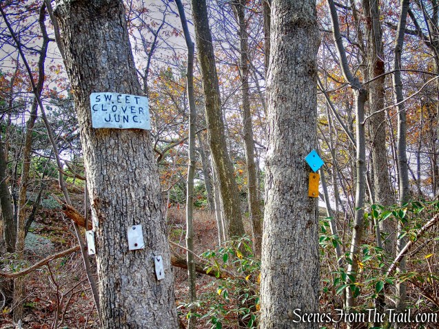 Sweet Clover Junction