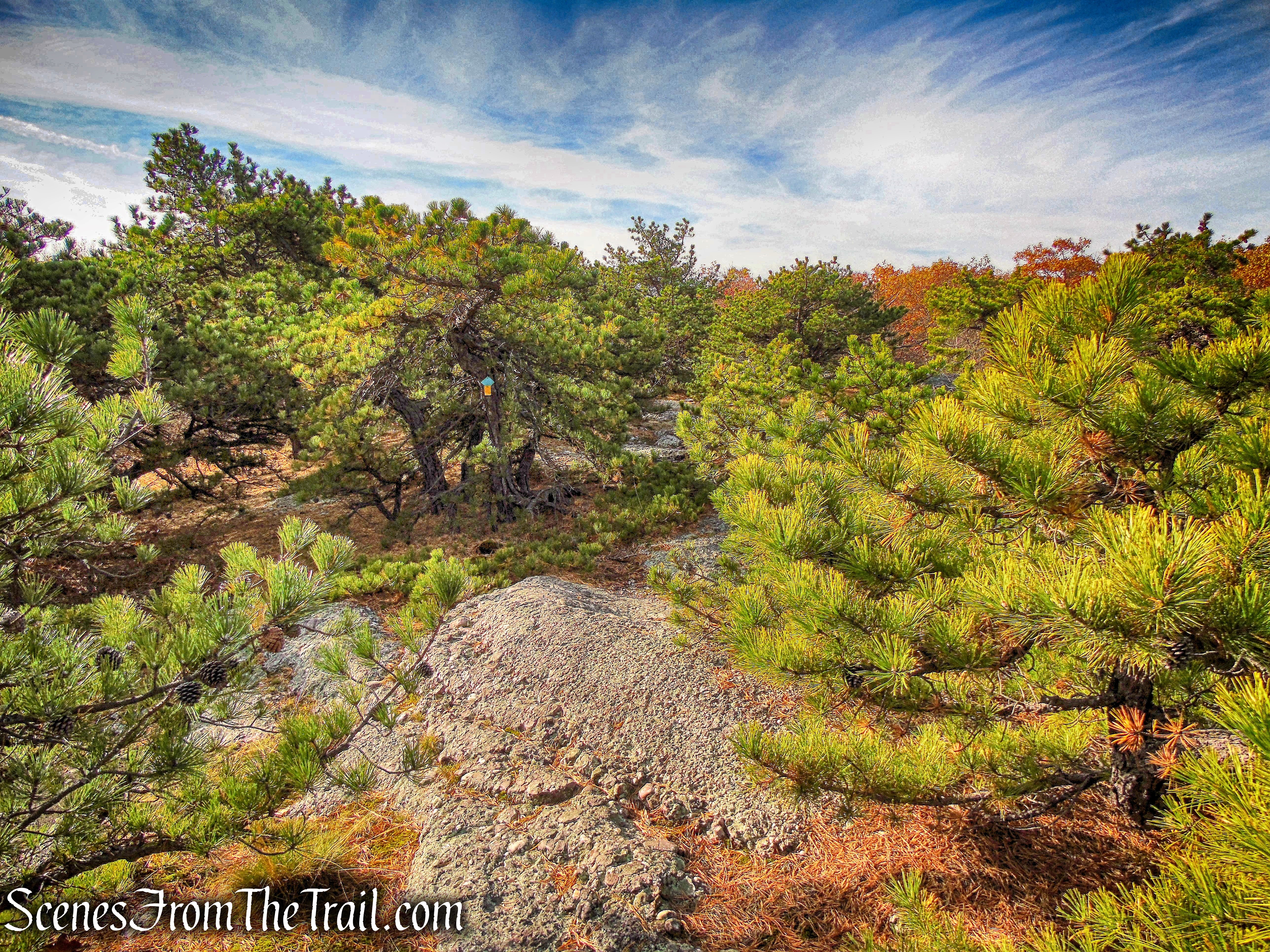 Jessup Trail