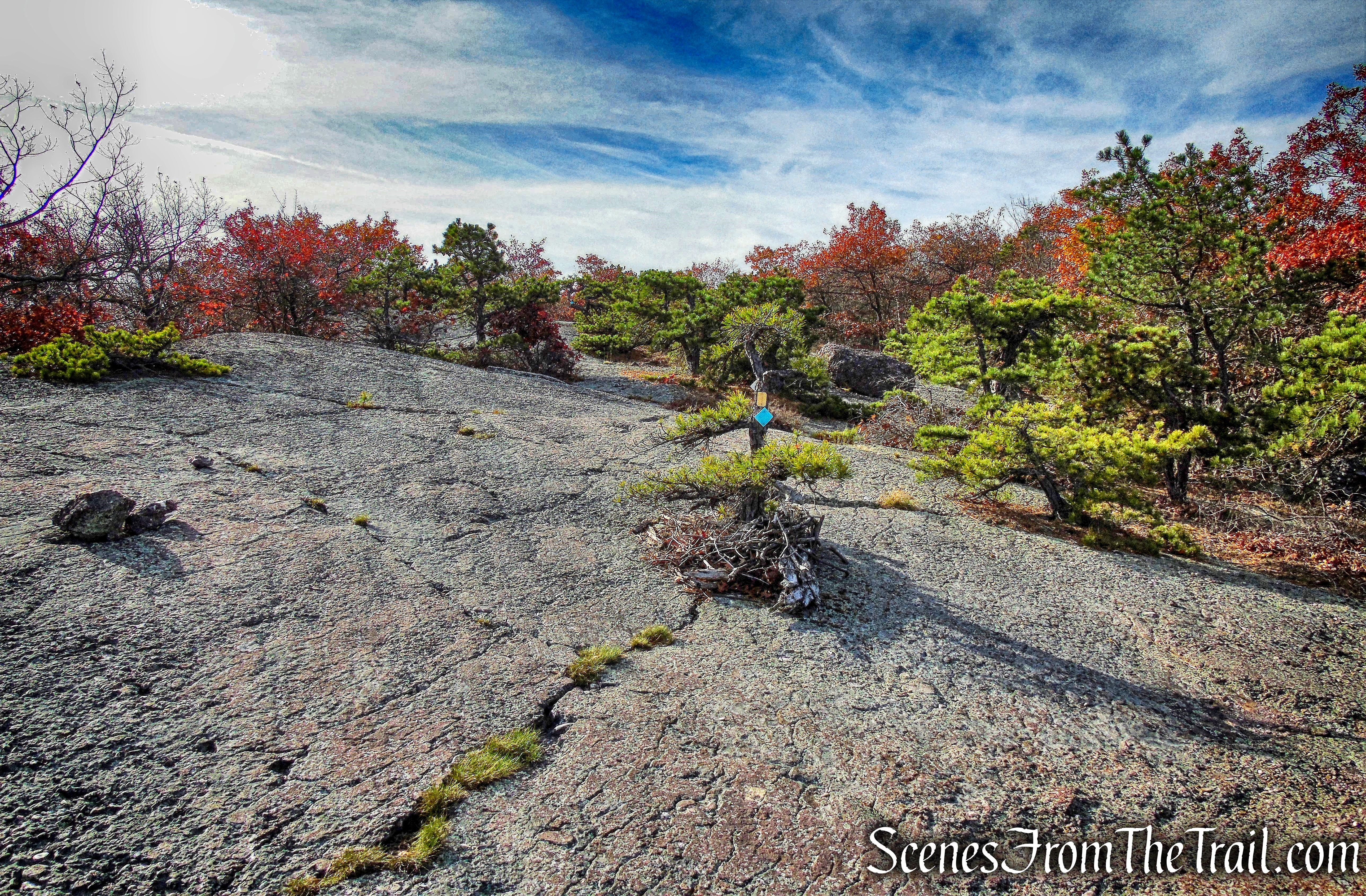 Jessup Trail