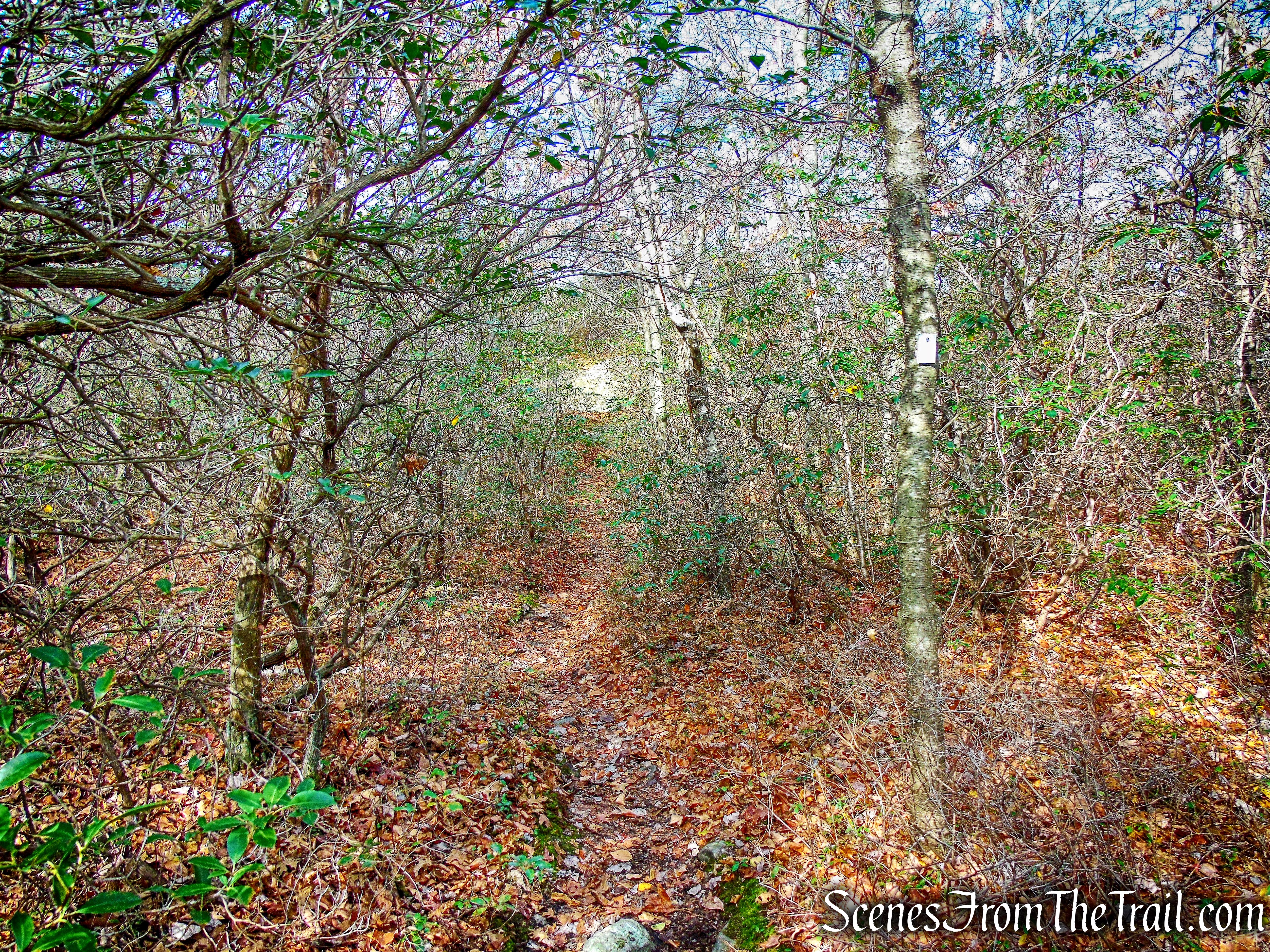 Megaliths Trail