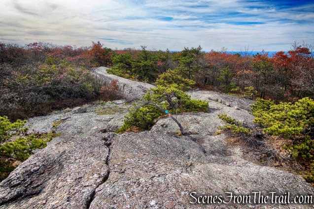 summit of Schunemunk Mountain