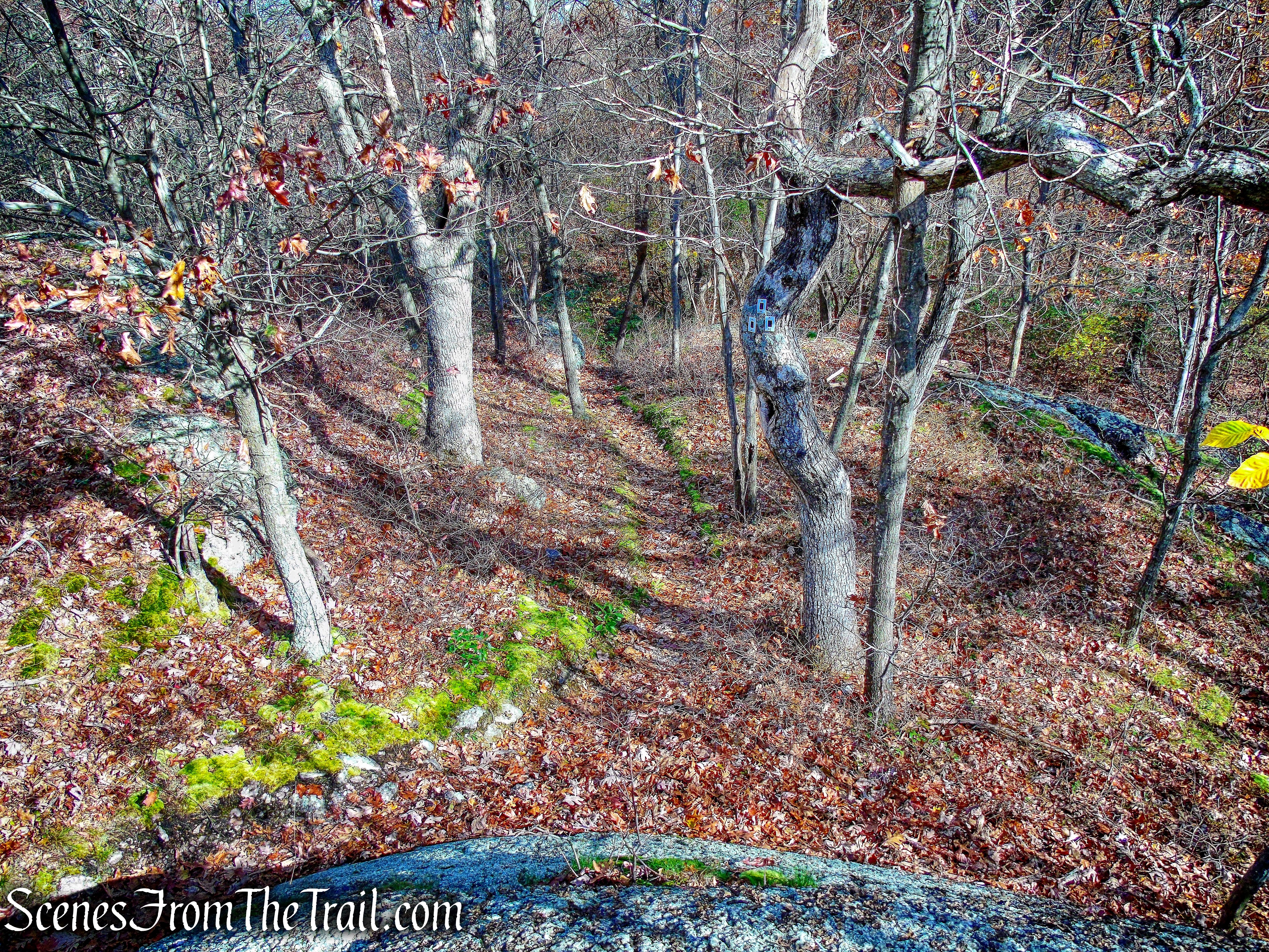 Dark Hollow Trail