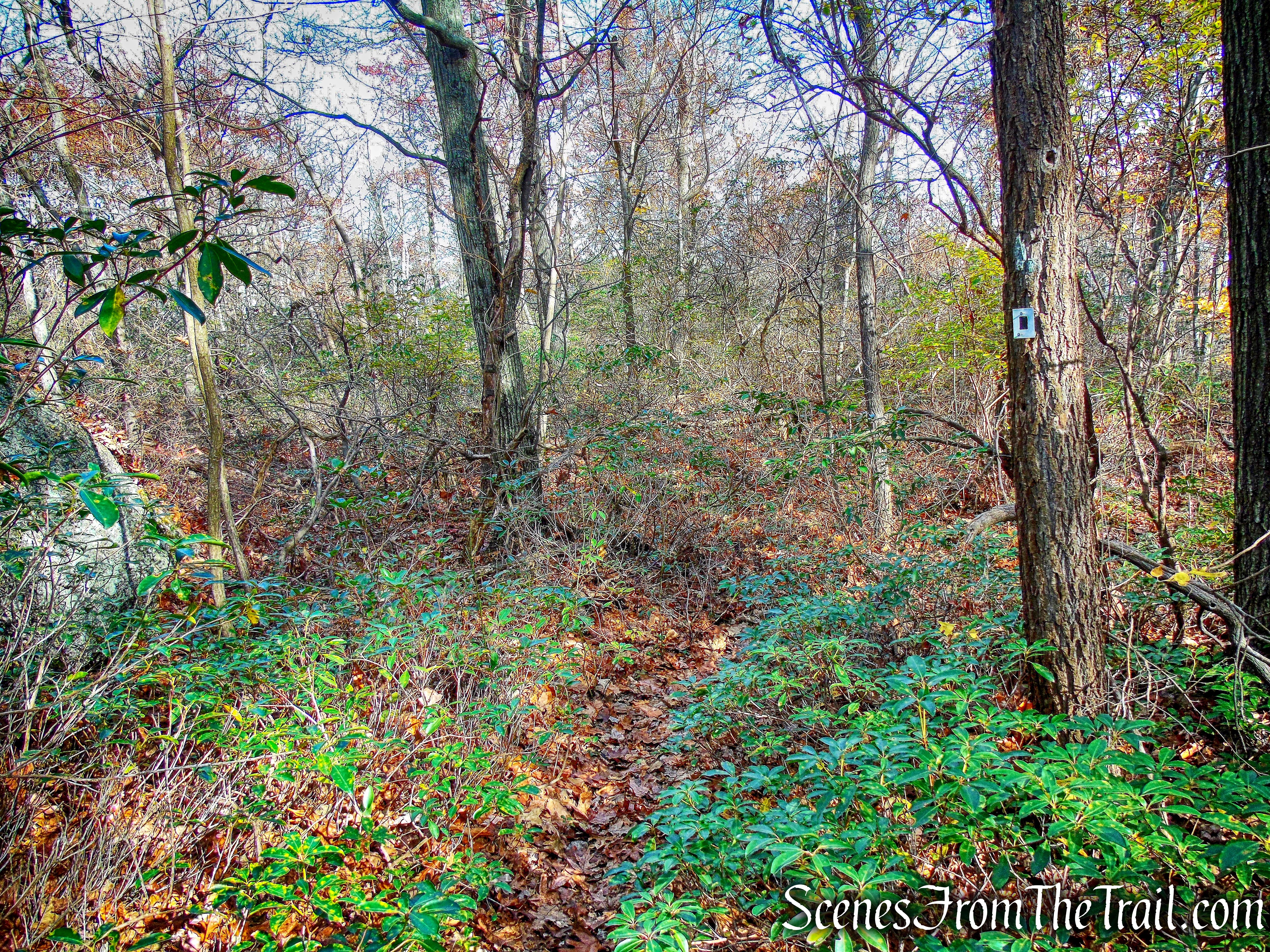 Dark Hollow Trail