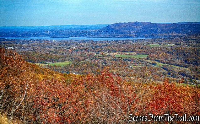 east facing viewpoint