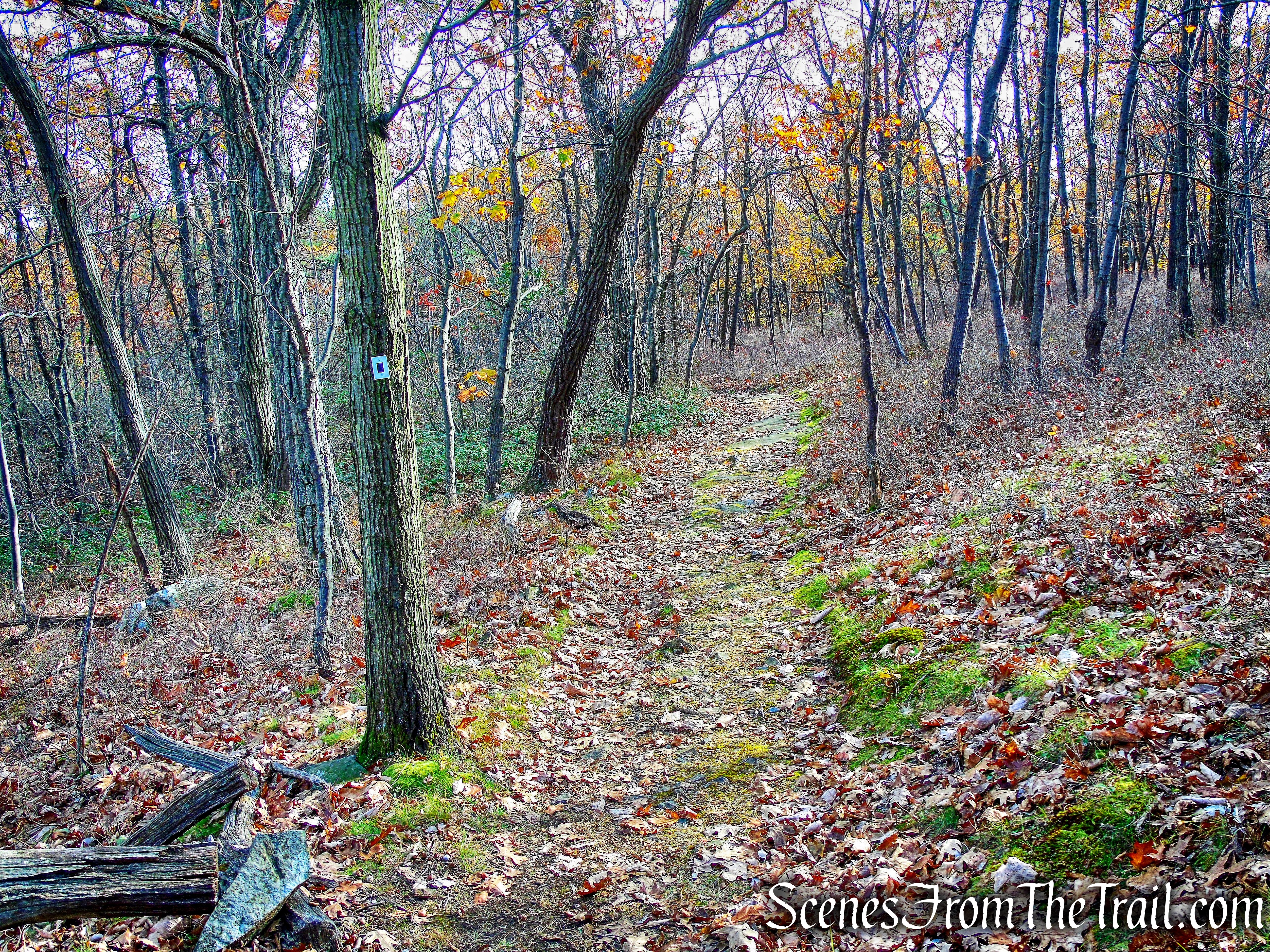 Dark Hollow Trail