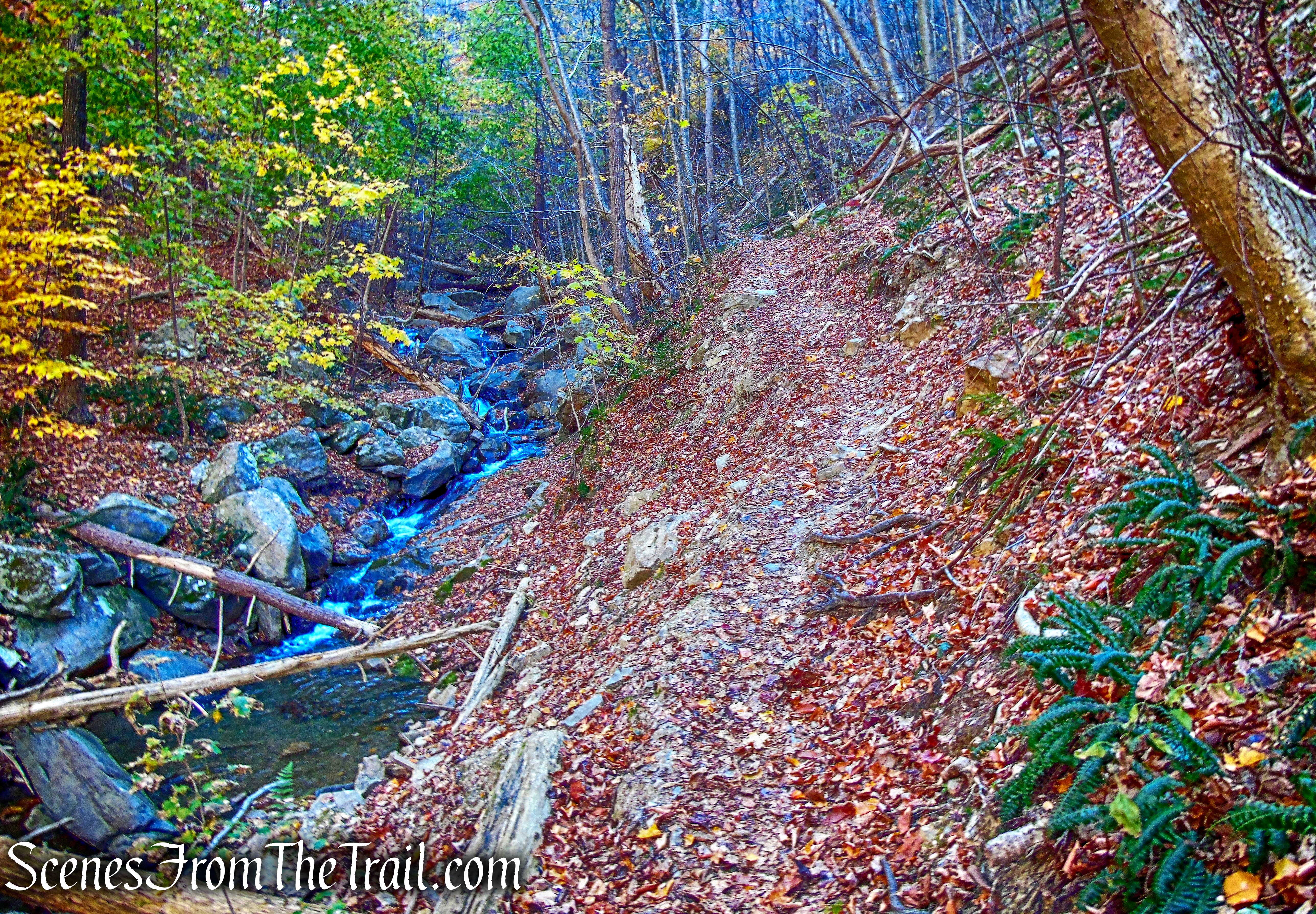 Fishkill Ridge Trail