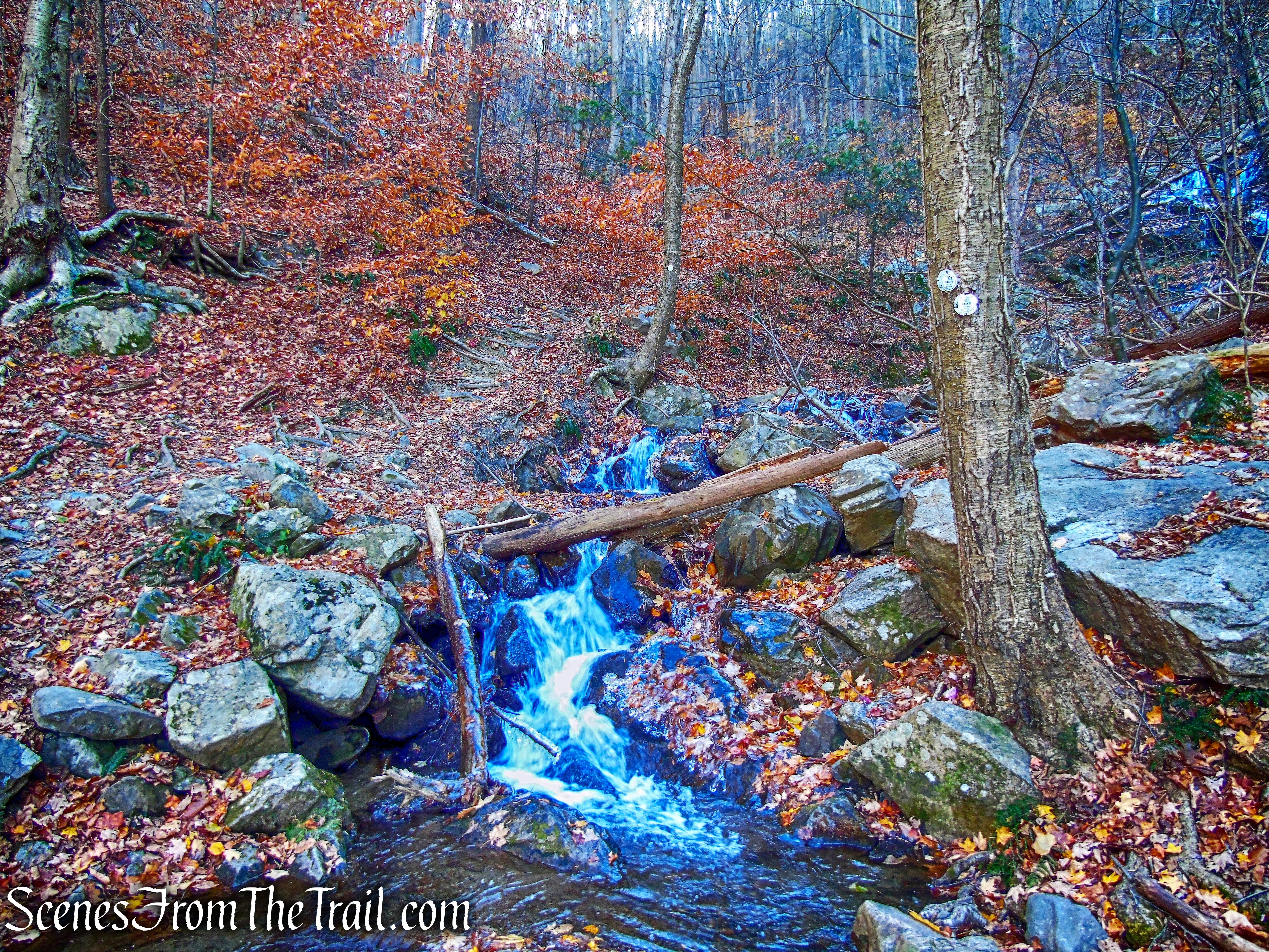 Fishkill Ridge Trail
