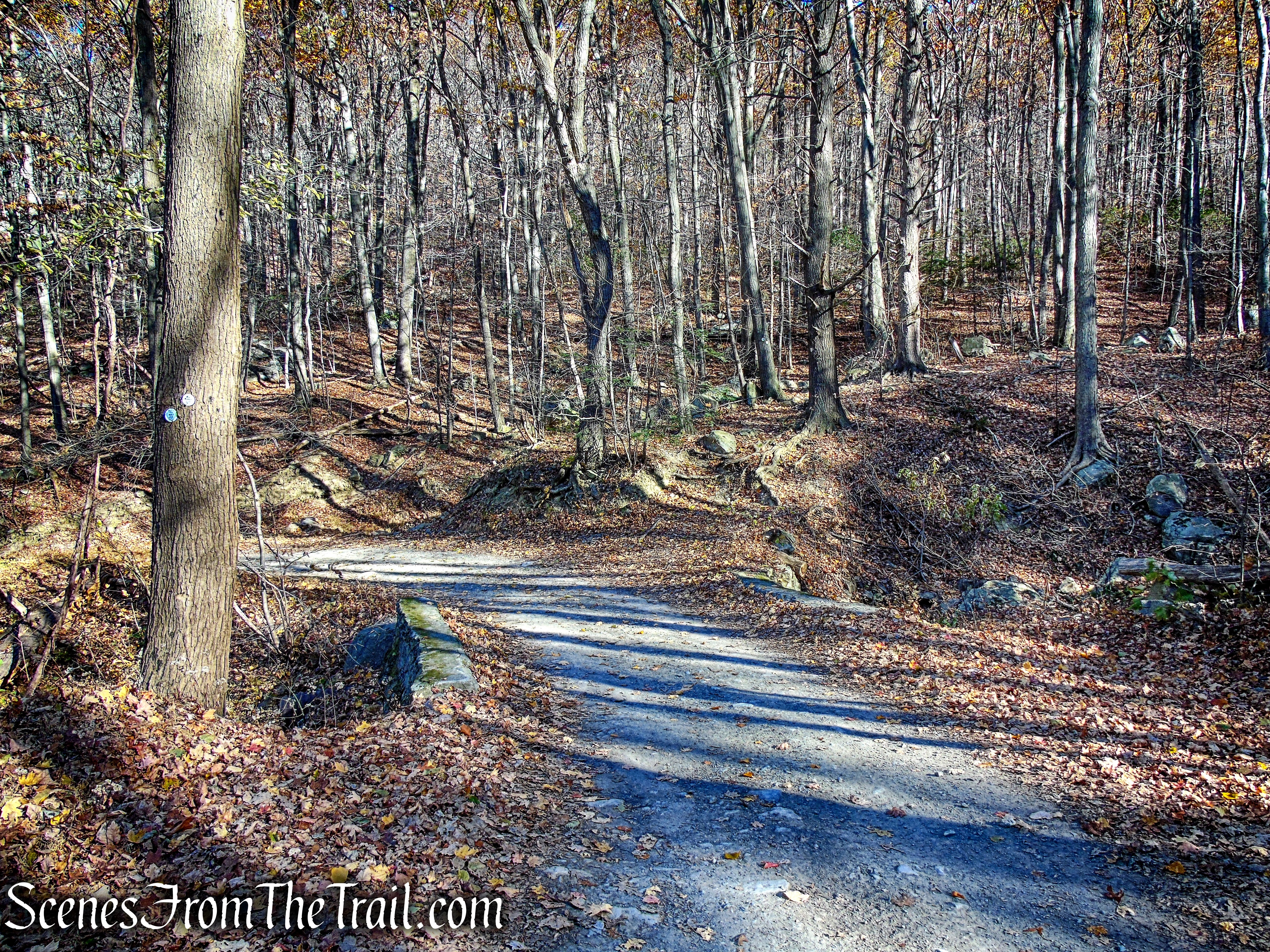 Mount Beacon Monument Road