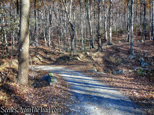 Mount Beacon Monument Road