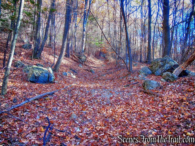 unmarked old woods road