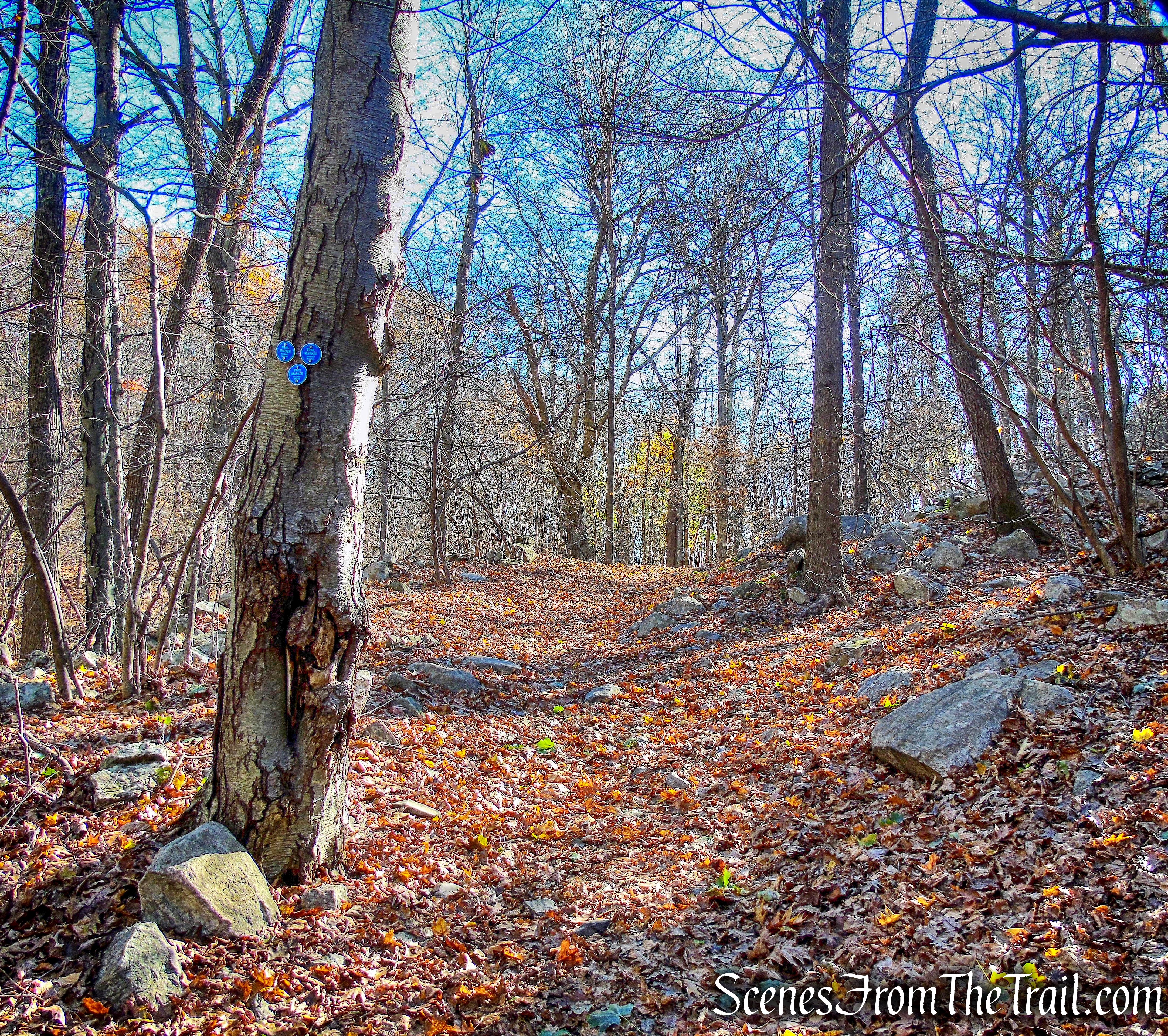 Terminus of Blue Connector Trail
