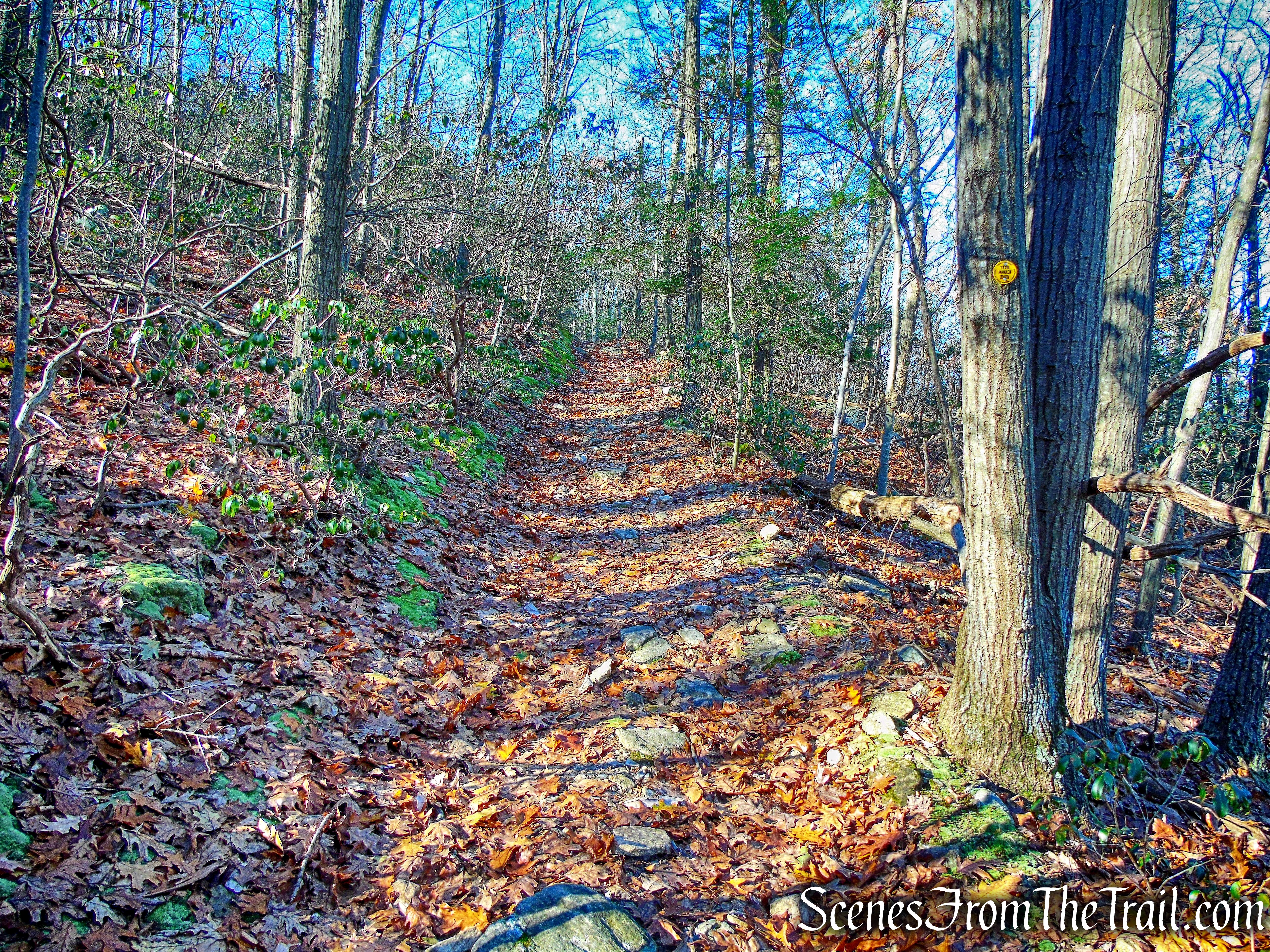 Wilkinson Memorial Trail