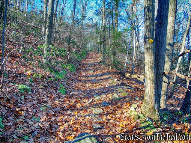 Wilkinson Memorial Trail