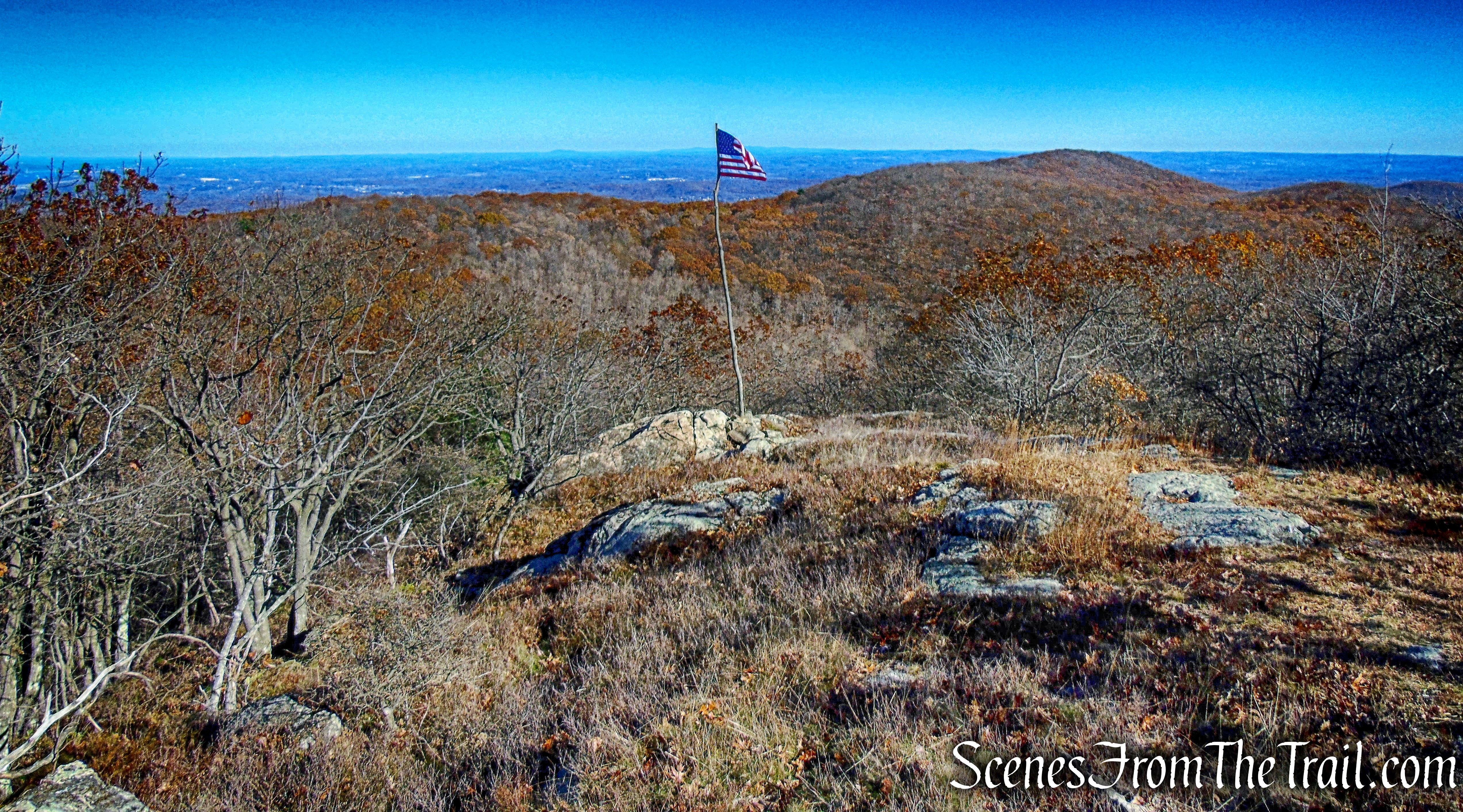 Darcy's Ridge