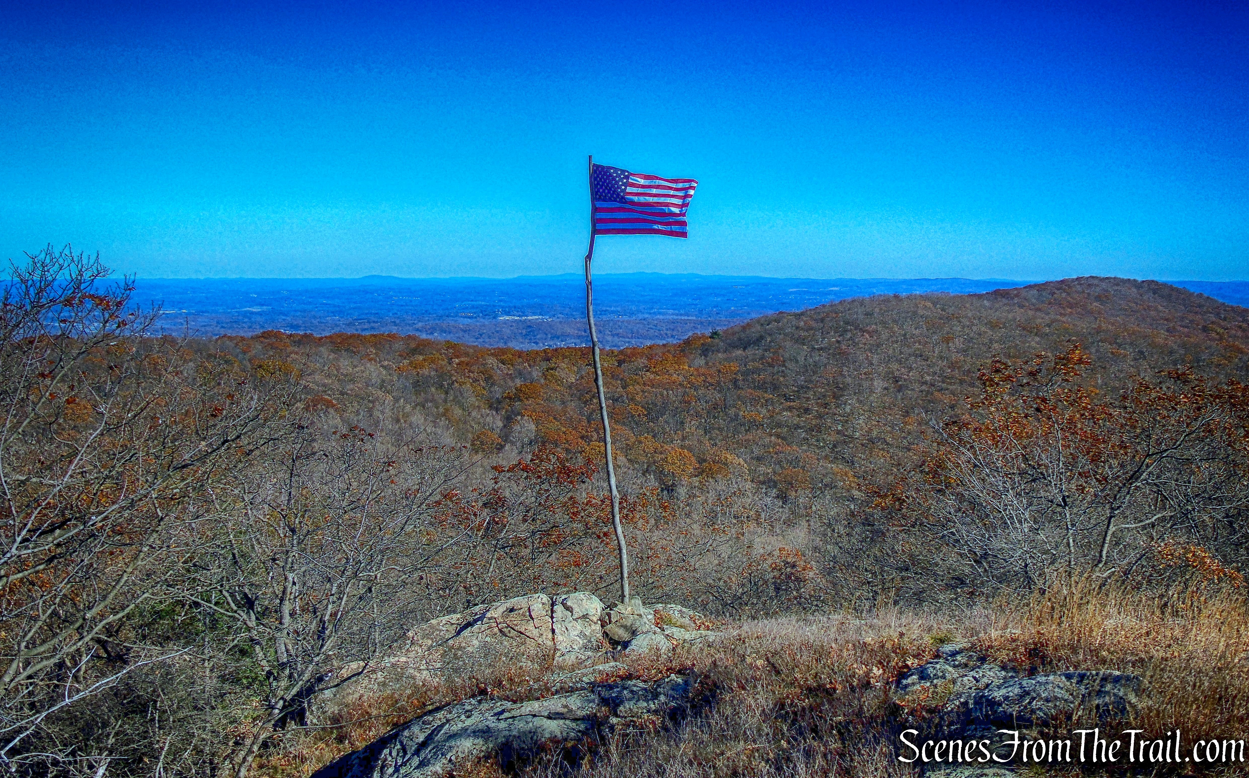 Darcy’s Ridge