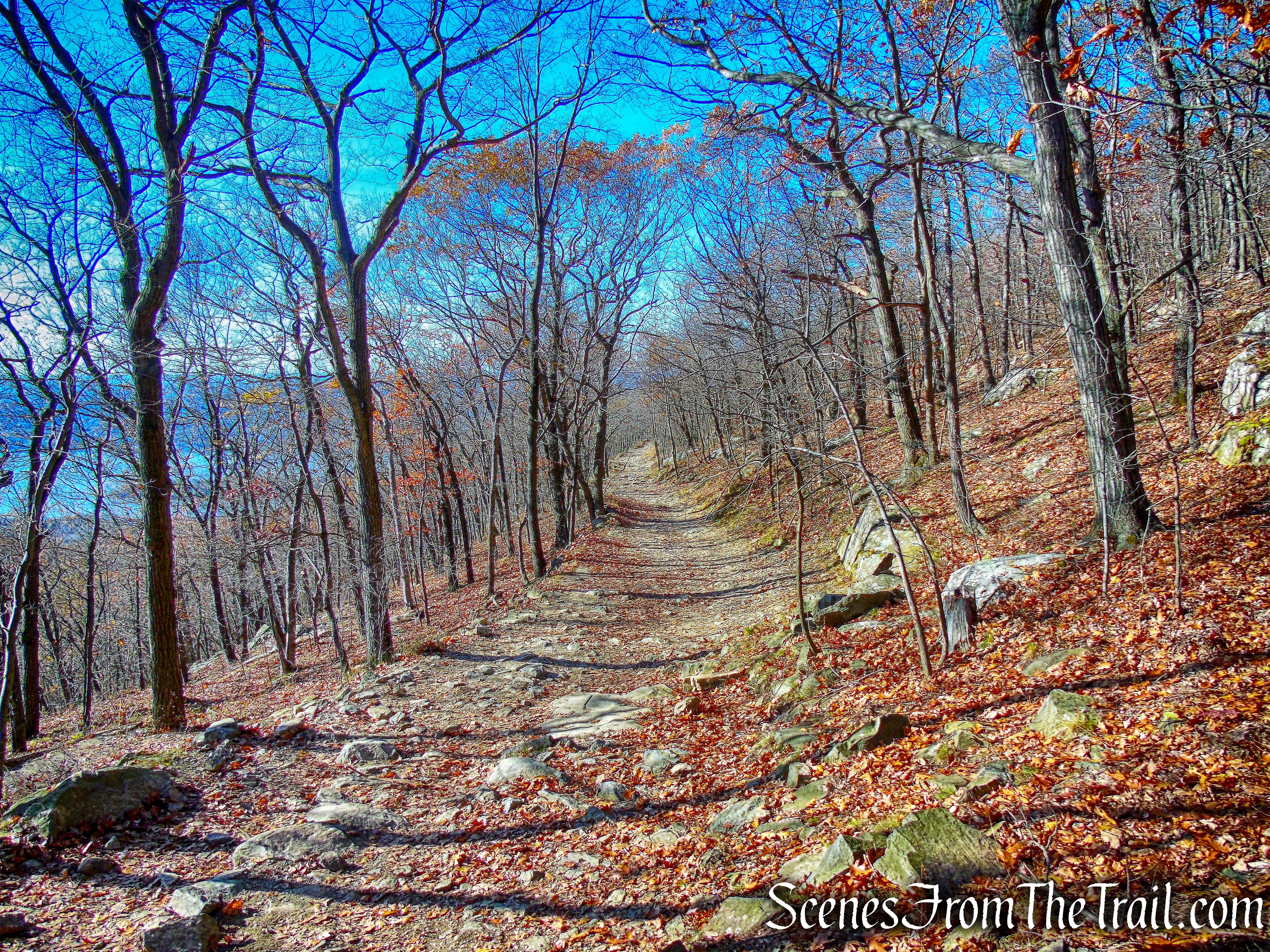 Mount Beacon Monument Road