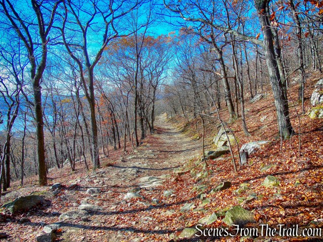 Mount Beacon Monument Road