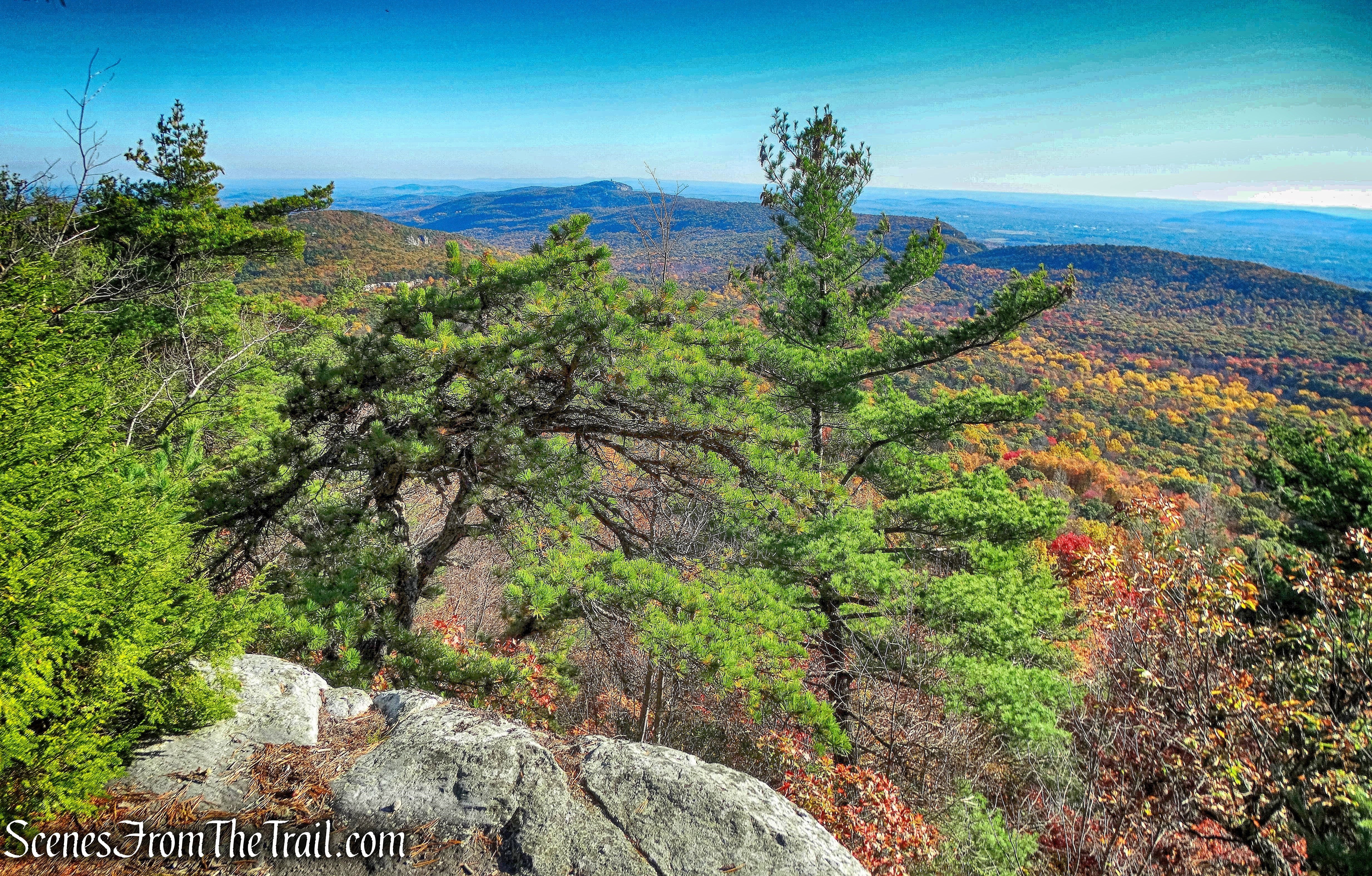 Beacon Hill Trail