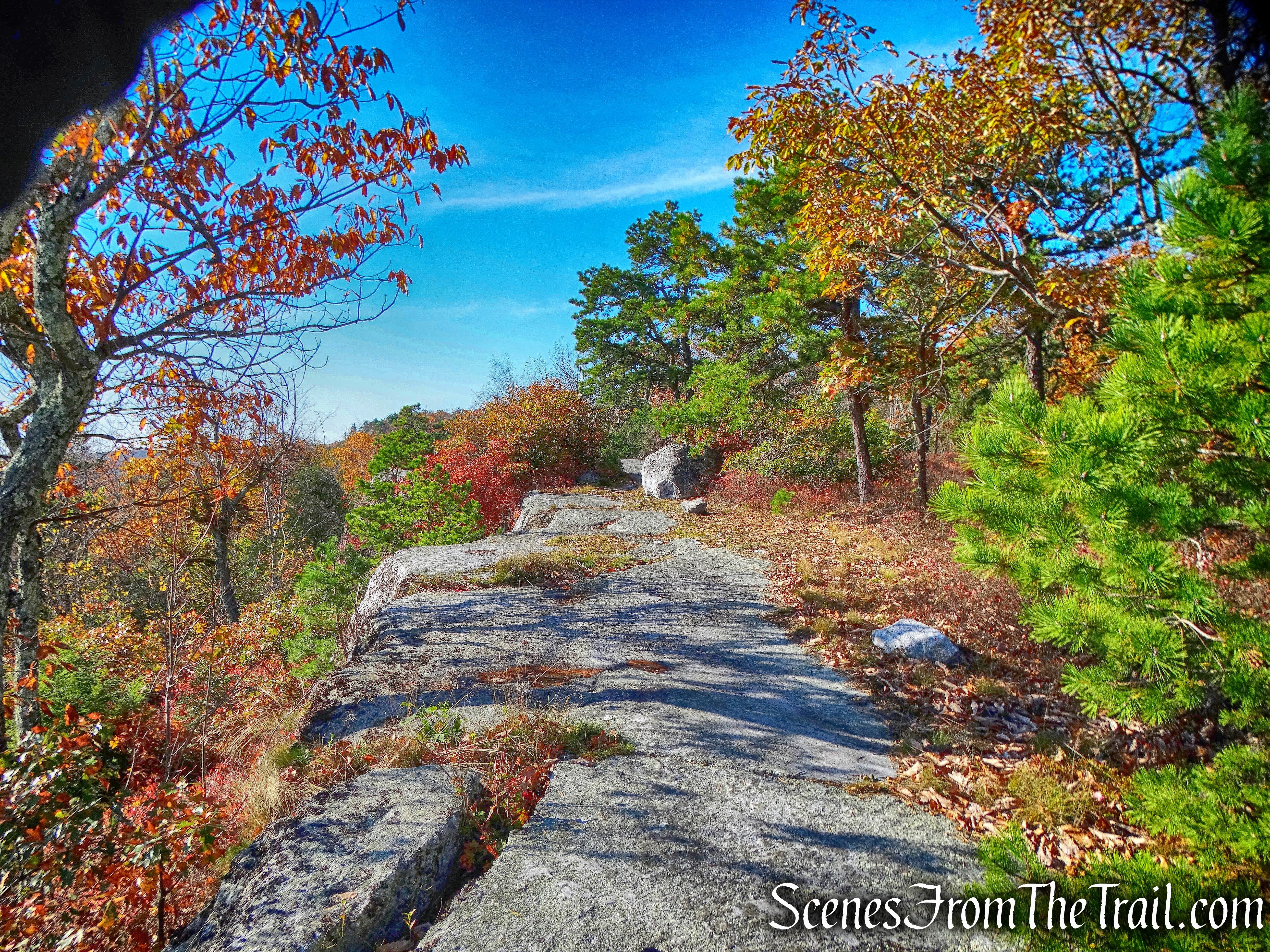 Beacon Hill Trail