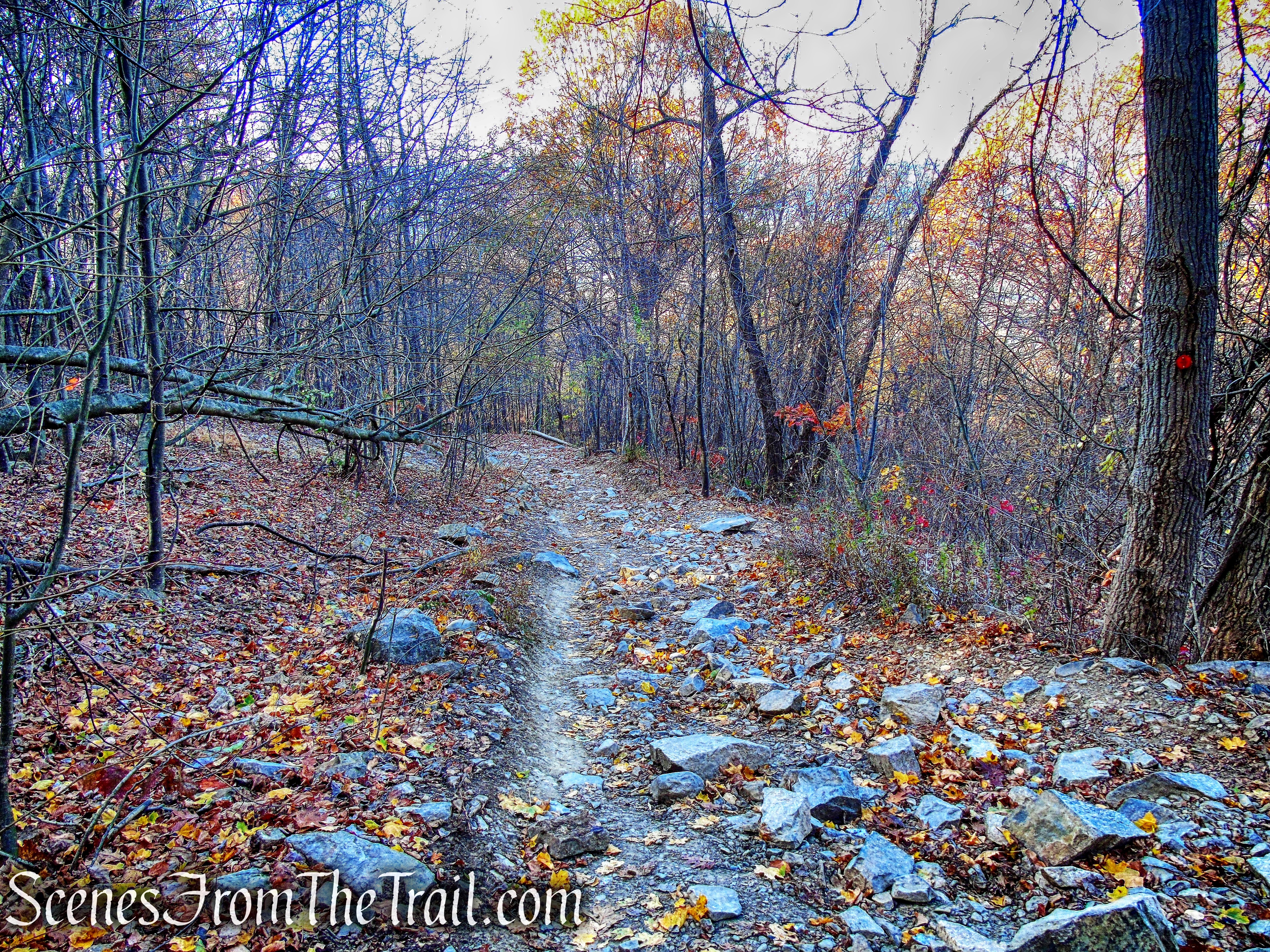 Casino Trail