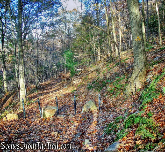 Dry Brook Connector Trail