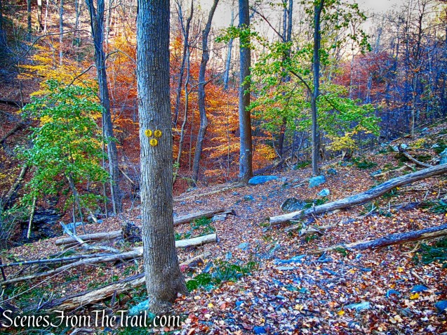 Dry Brook Connector Trail