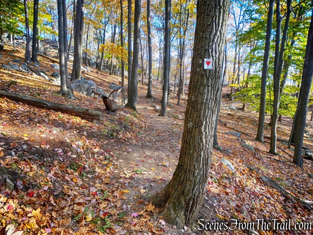 Arden-Surebridge (A-SB) Trail