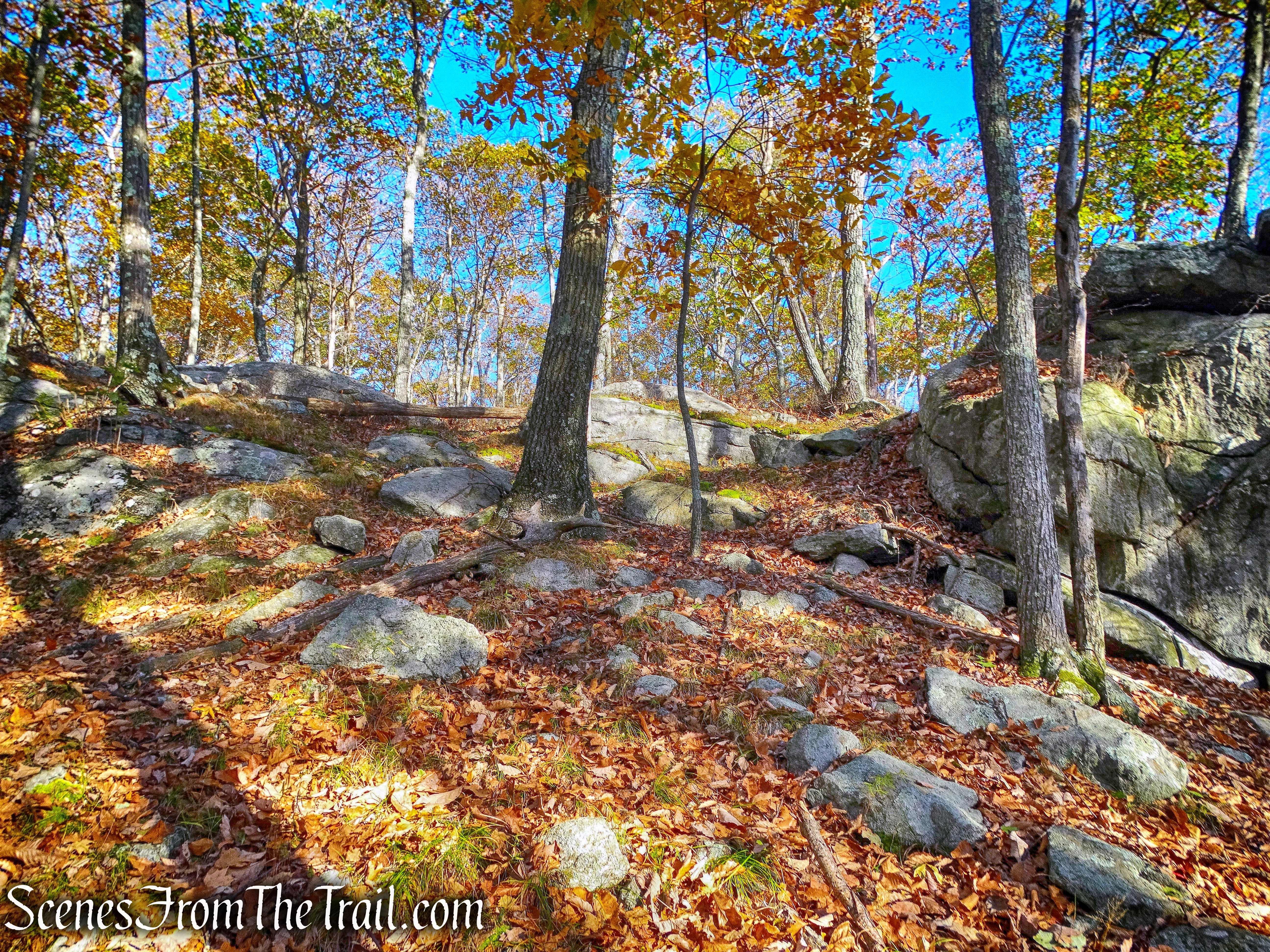 Pine Swamp Mountain
