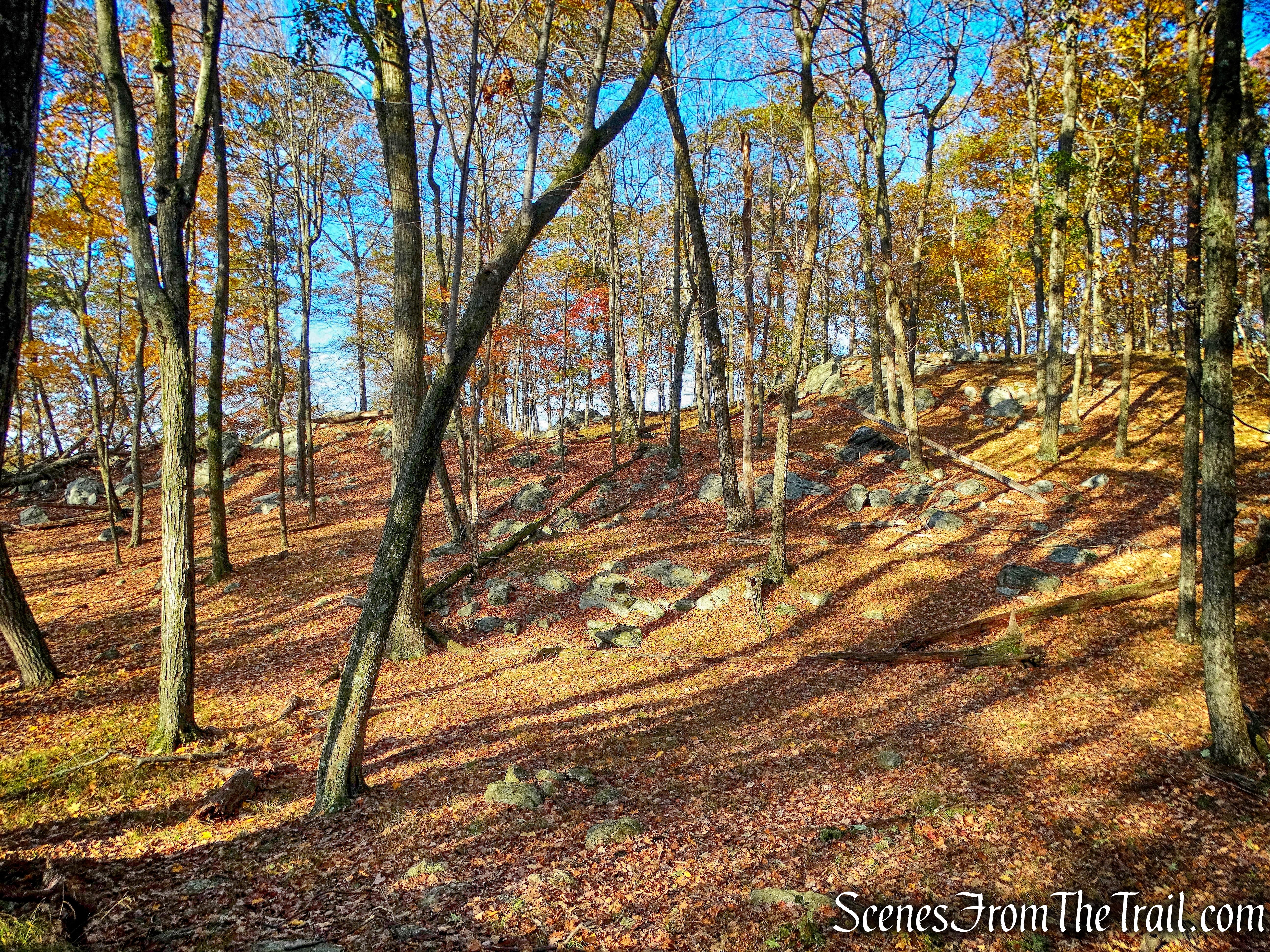 Pine Swamp Mountain