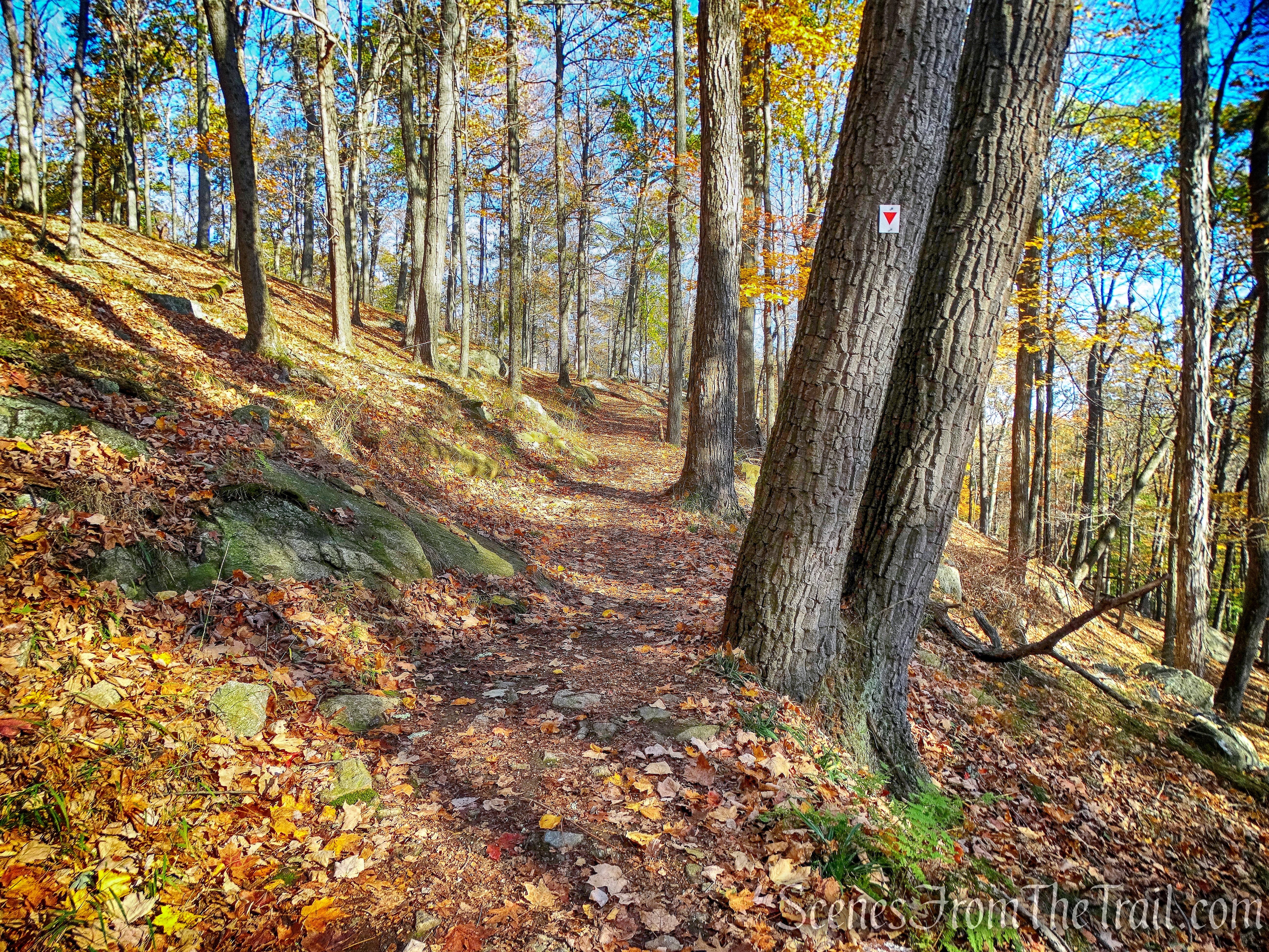 Arden-Surebridge (A-SB) Trail