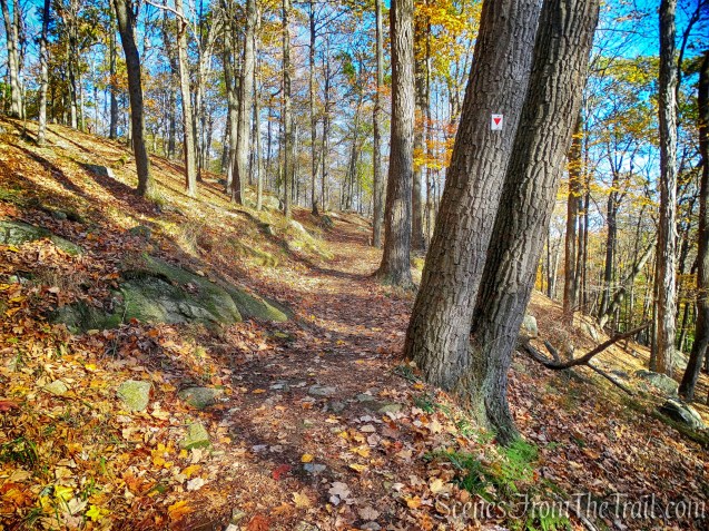 Arden-Surebridge (A-SB) Trail
