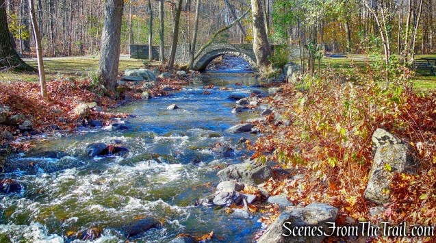 Unnamed brook - Algonquin Park