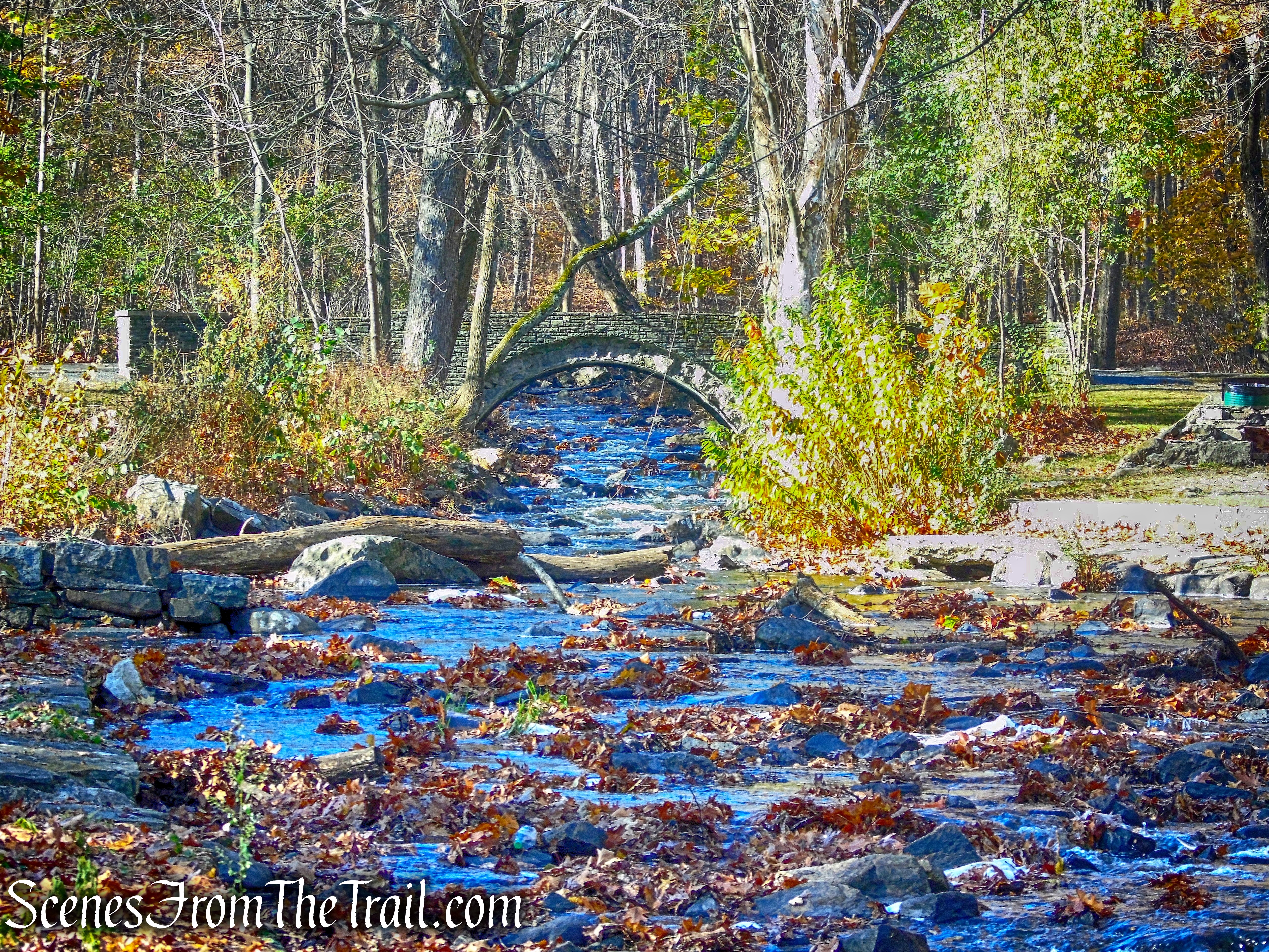 Unnamed brook - Algonquin Park