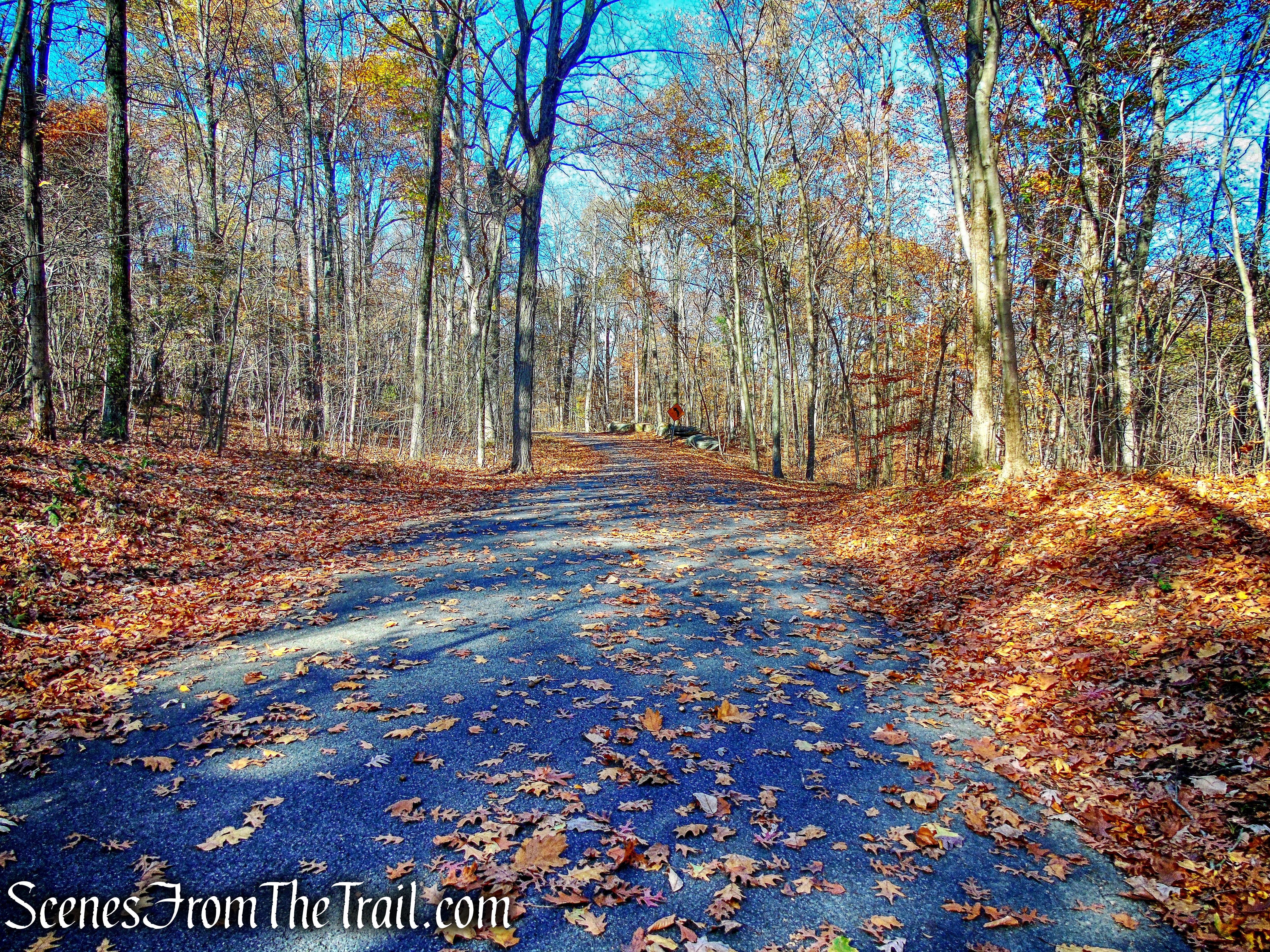 Cronomer Hill Park