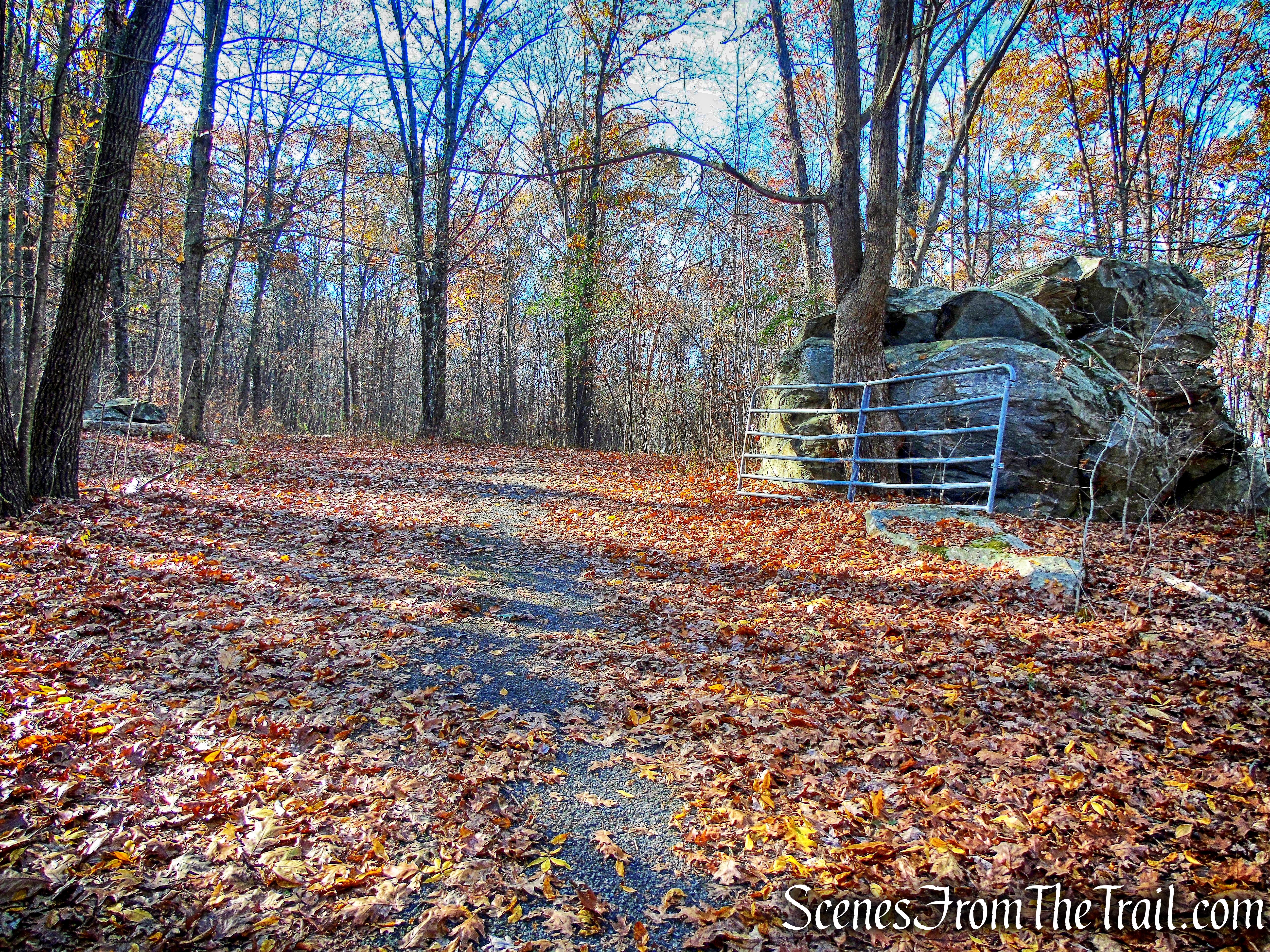 DSC00777_HDR_1_marked