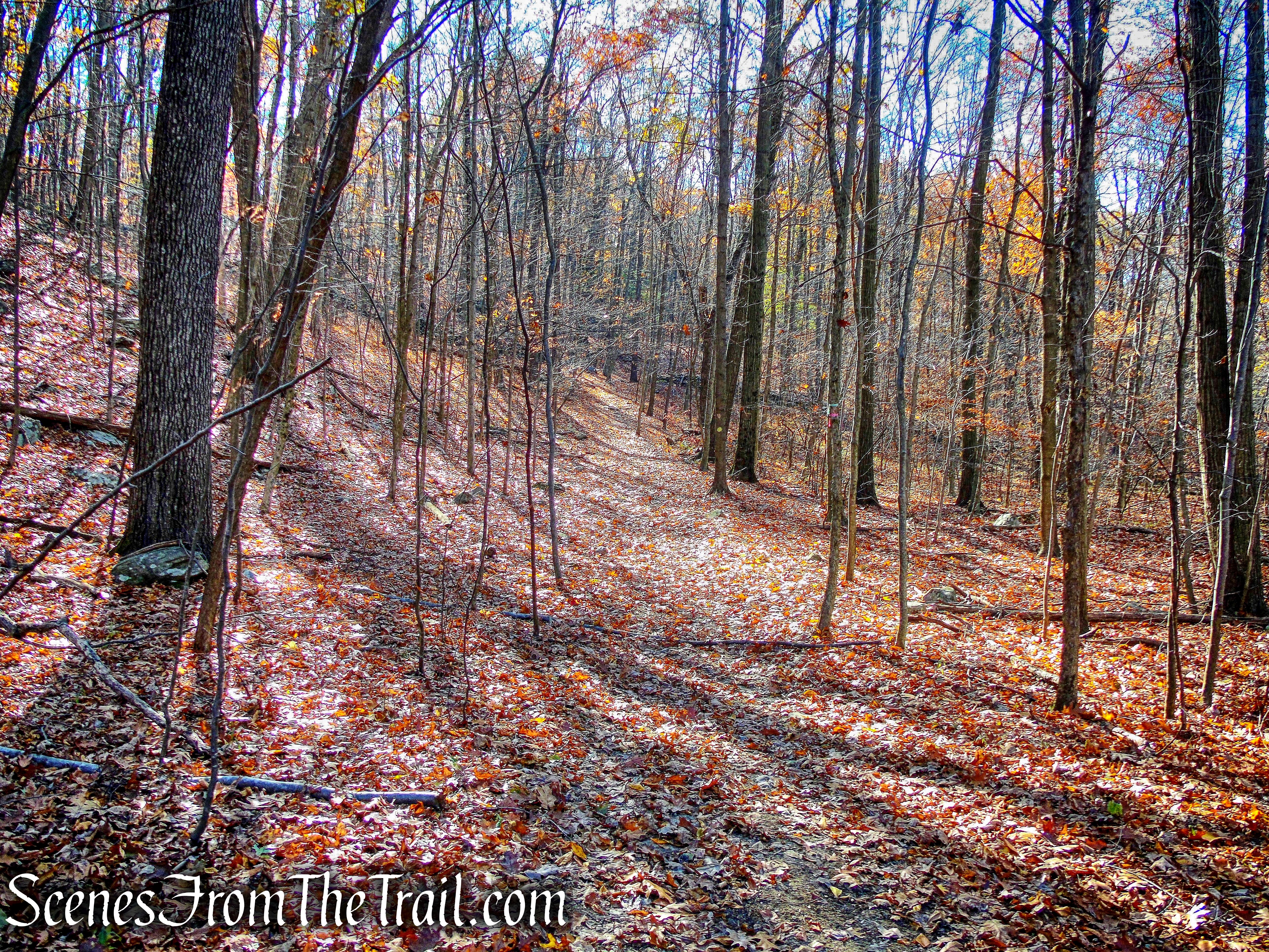 Cronomer Hill Park