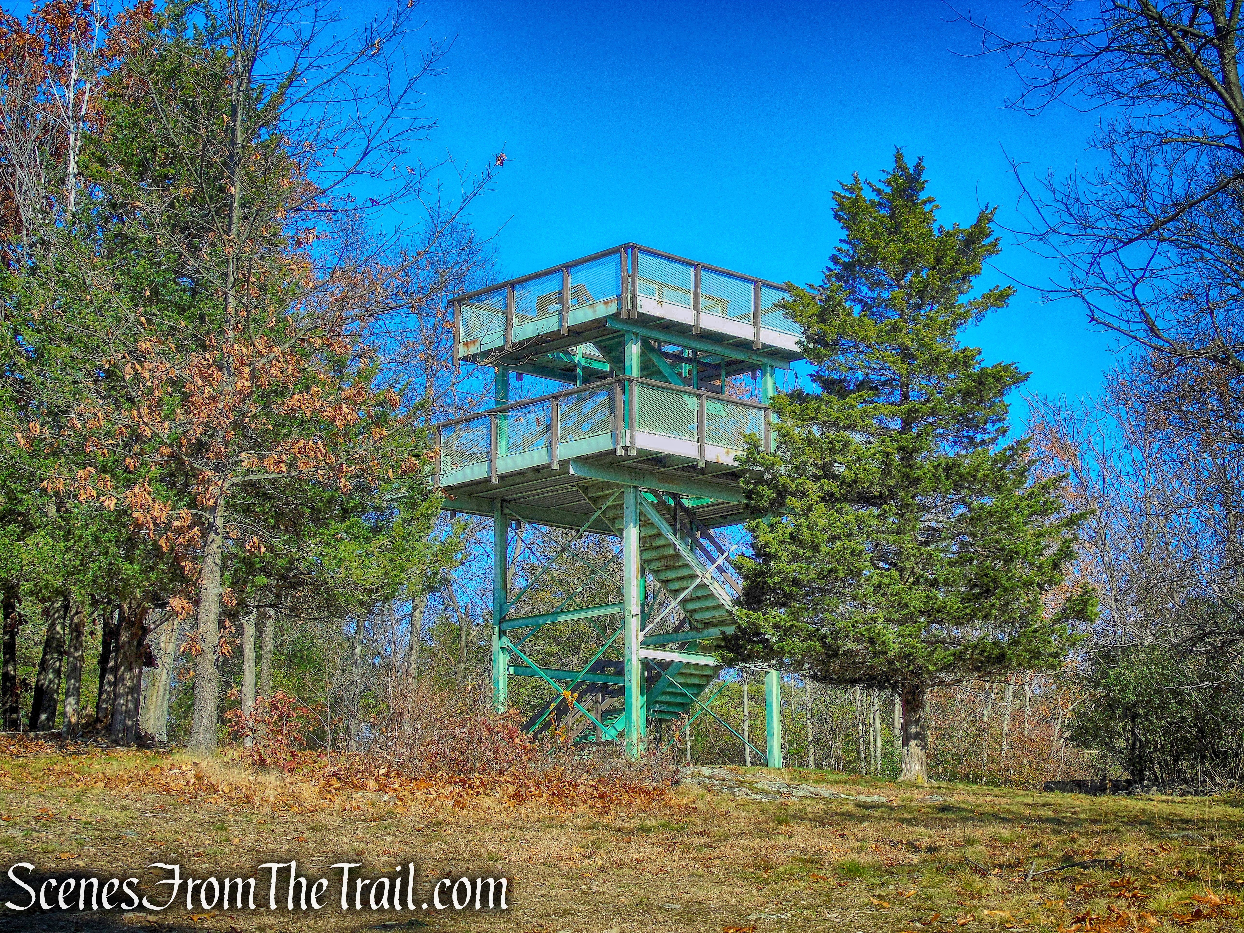 Observation Tower - Cronomer Hill Park