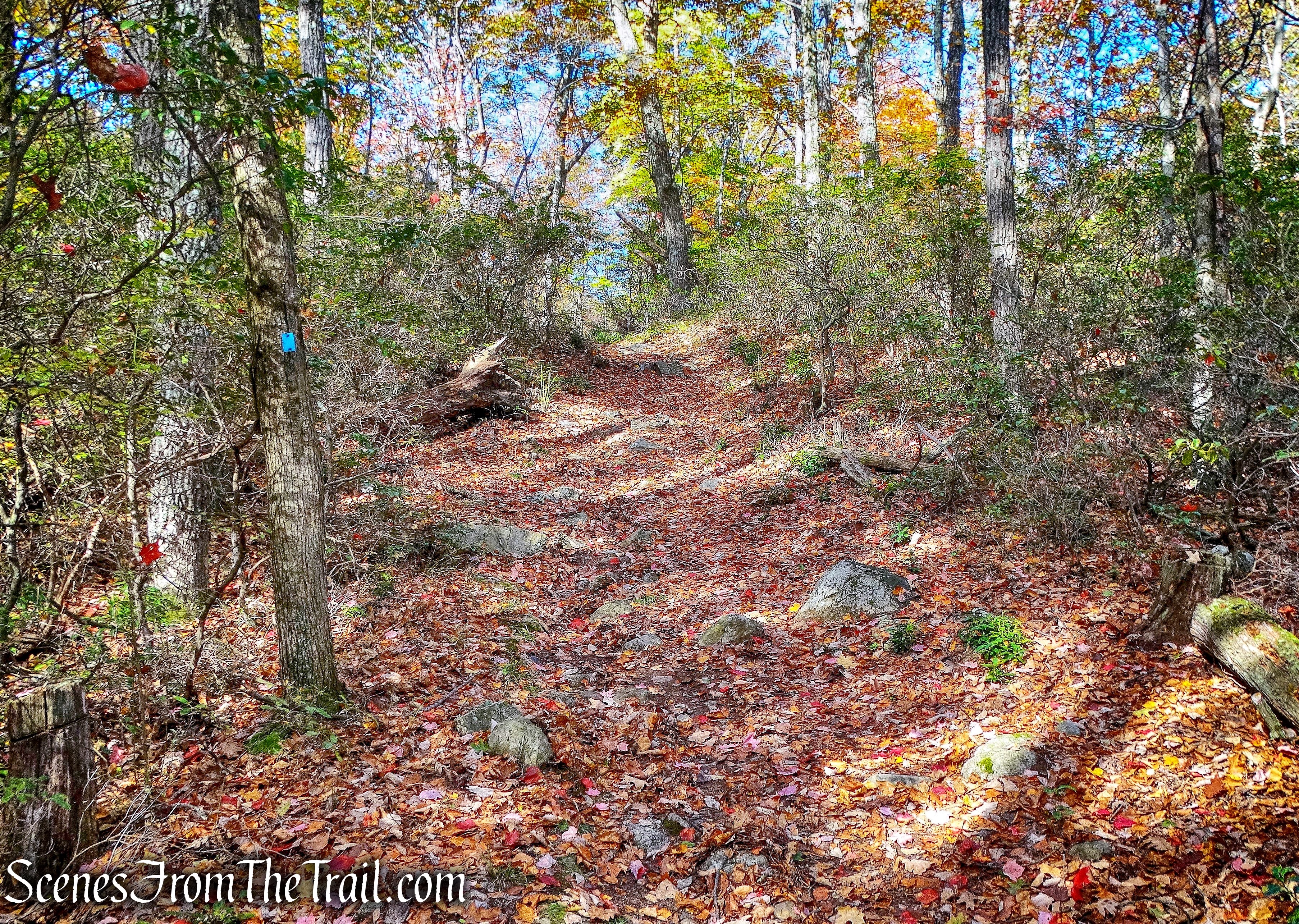 Hurst Trail