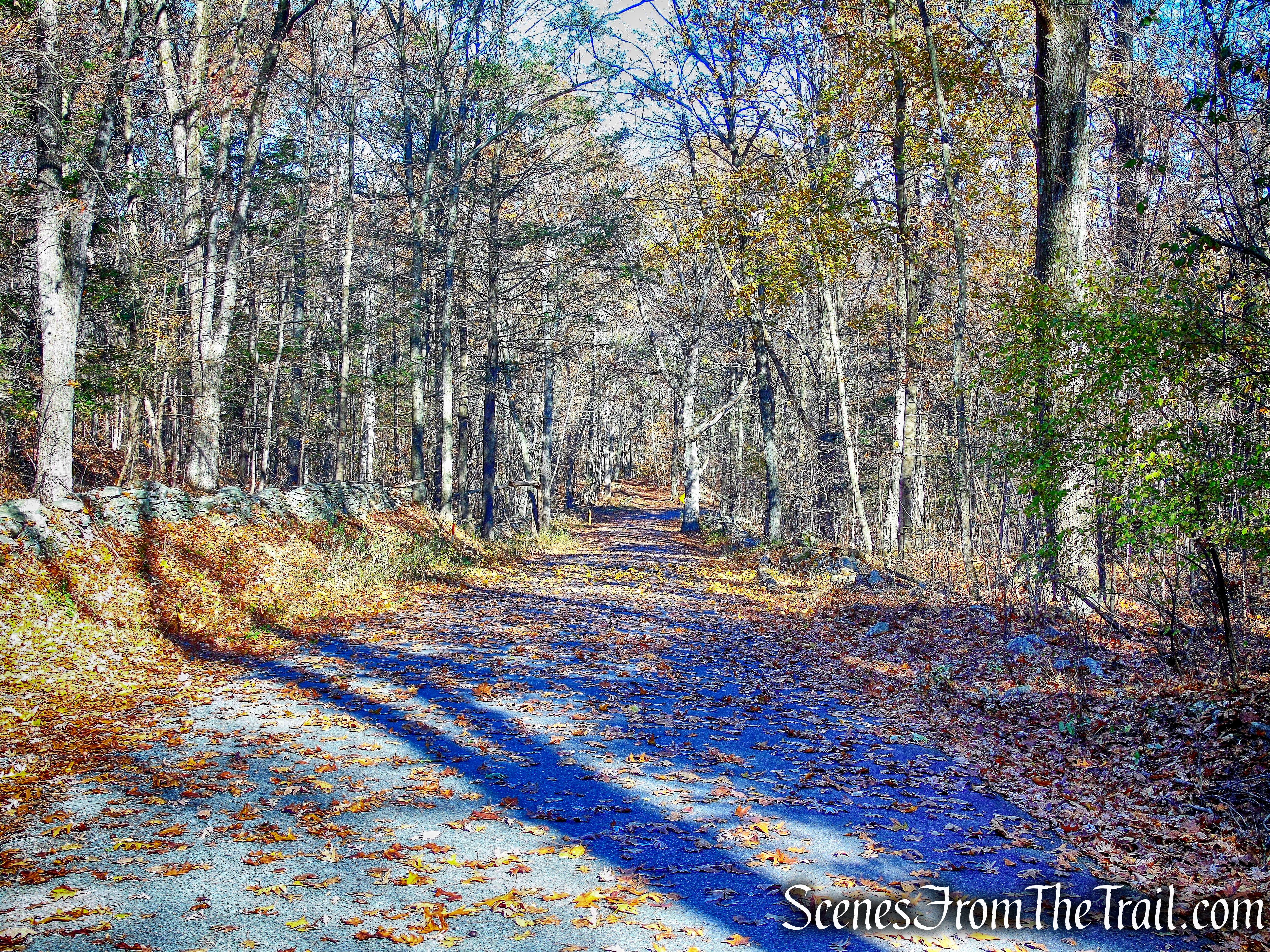Cronomer Hill Park